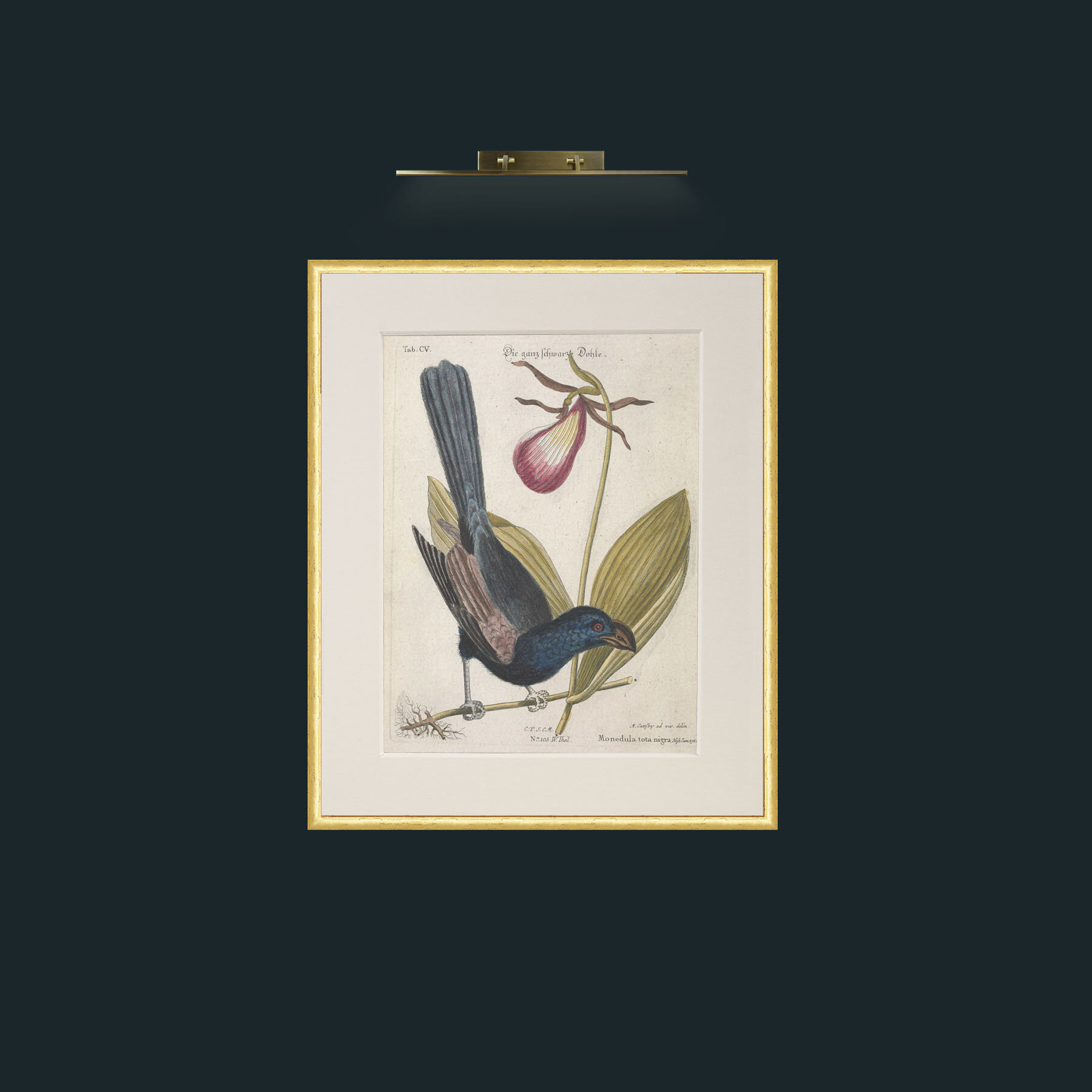 Art-Jackdaw-Frame-3RoundedGilt-Mount-1Antique.jpg