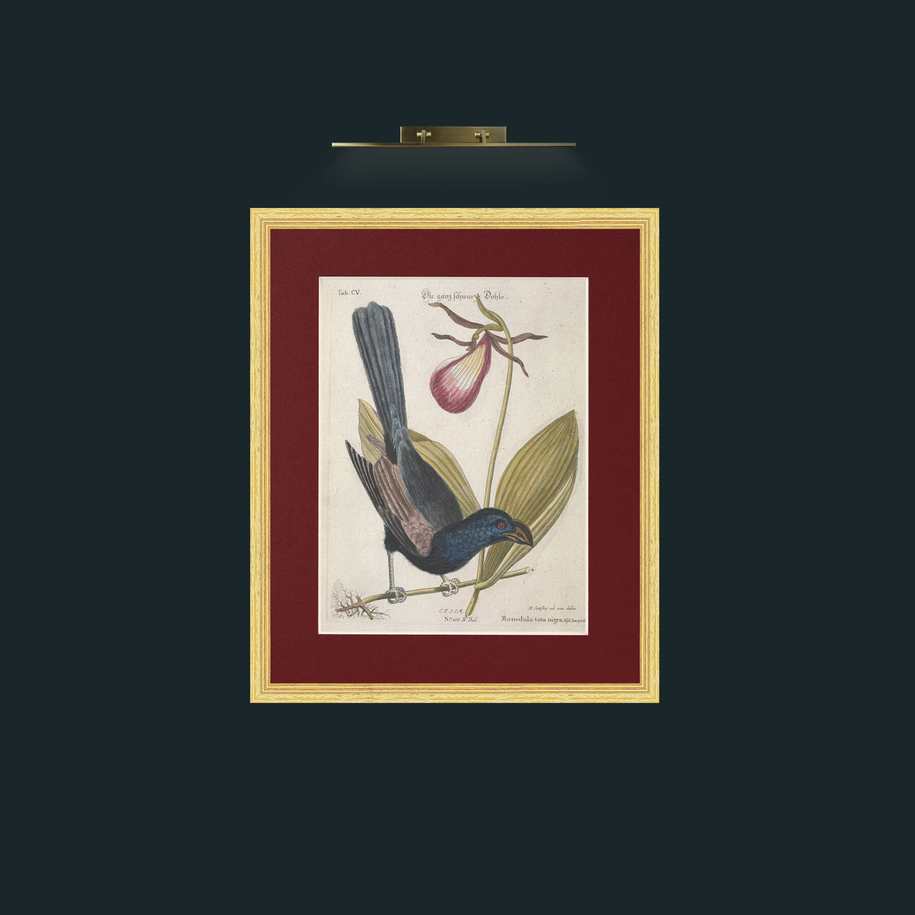 Art-Jackdaw-Frame-4BevelledGilt-Mount-4Red.jpg