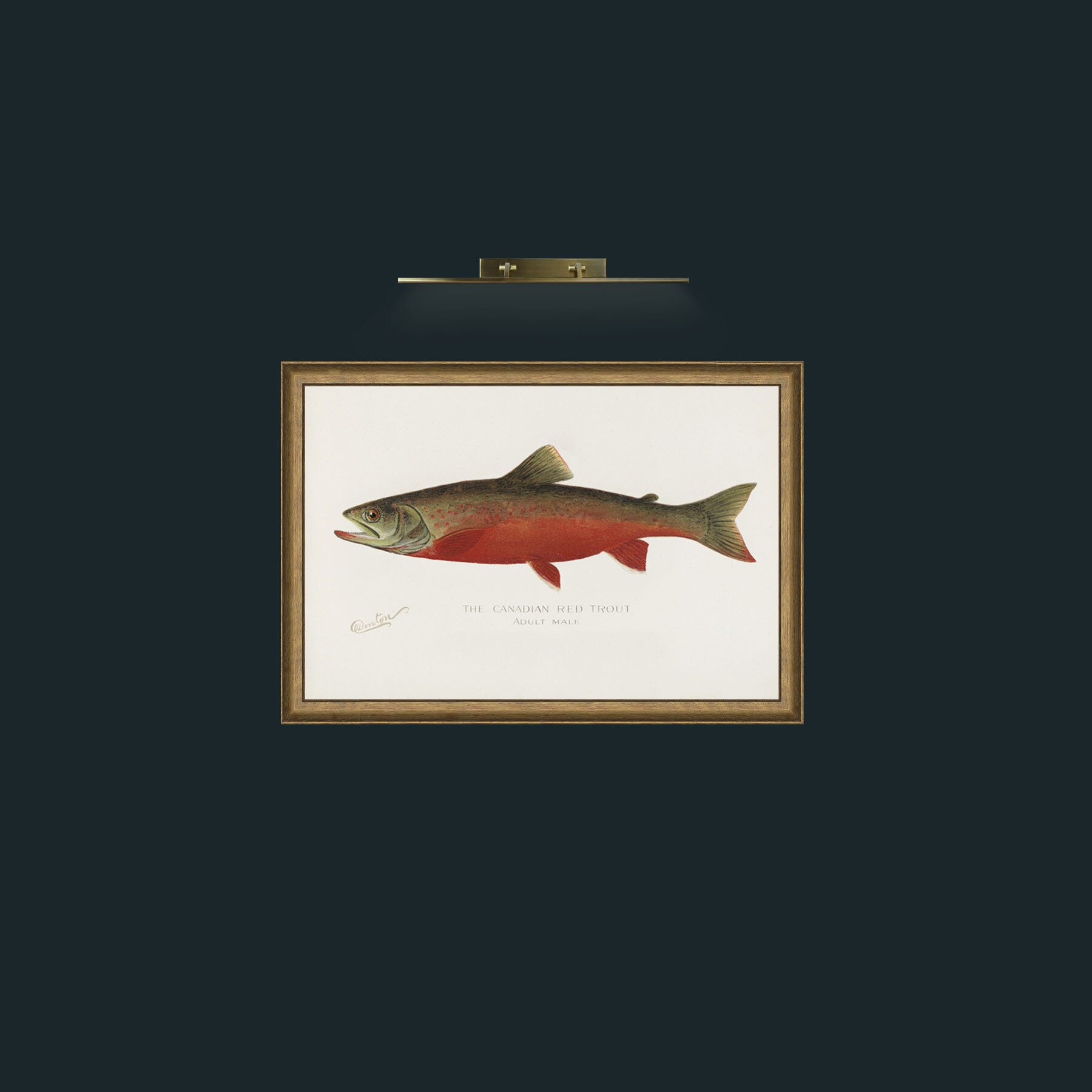 Art-Canadian Red Trout-Frame-8RedGreenGilt.jpg
