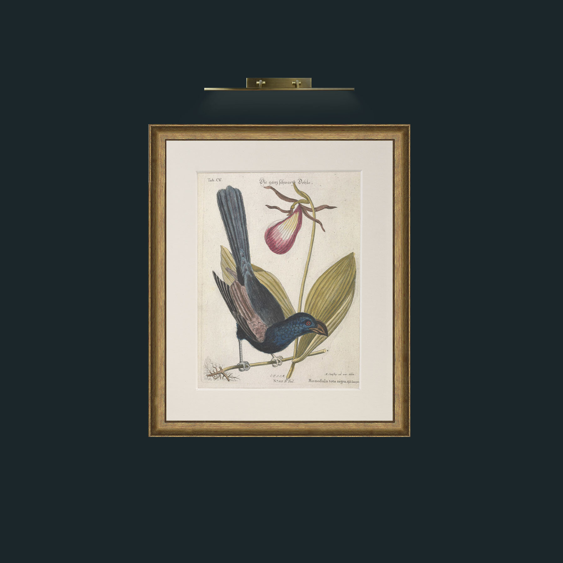 Art-Jackdaw-Frame-8RedGreenGilt-Mount-1Antique.jpg
