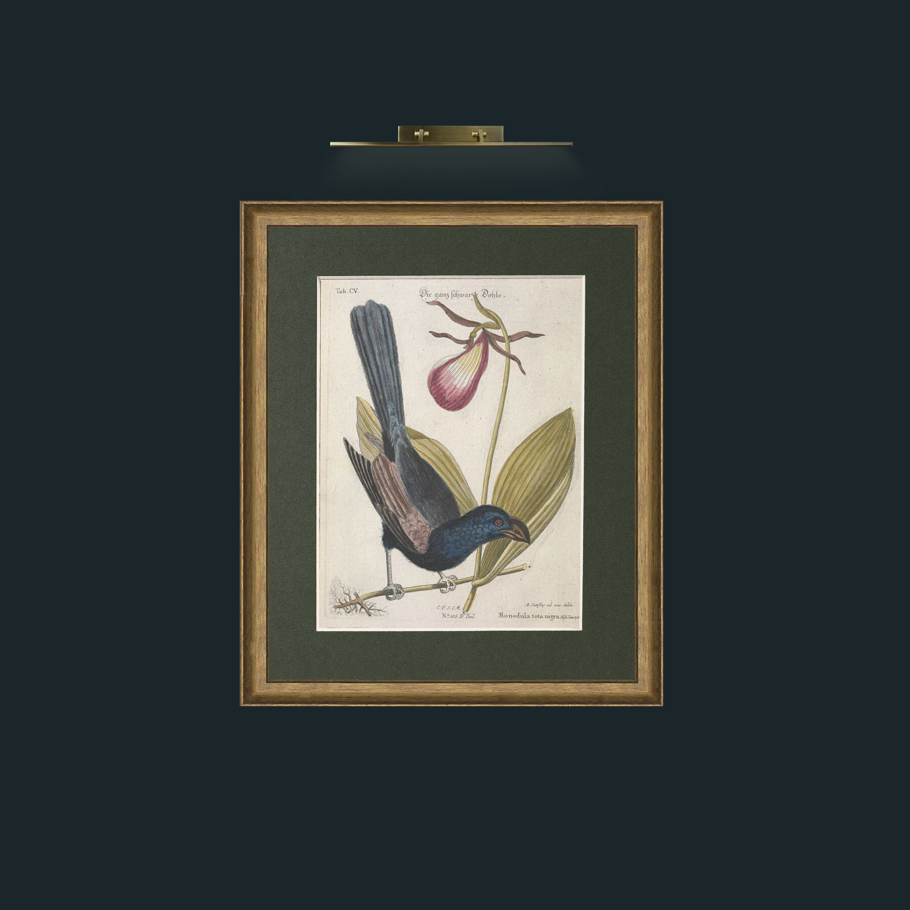 Art-Jackdaw-Frame-8RedGreenGilt-Mount-2Green.jpg