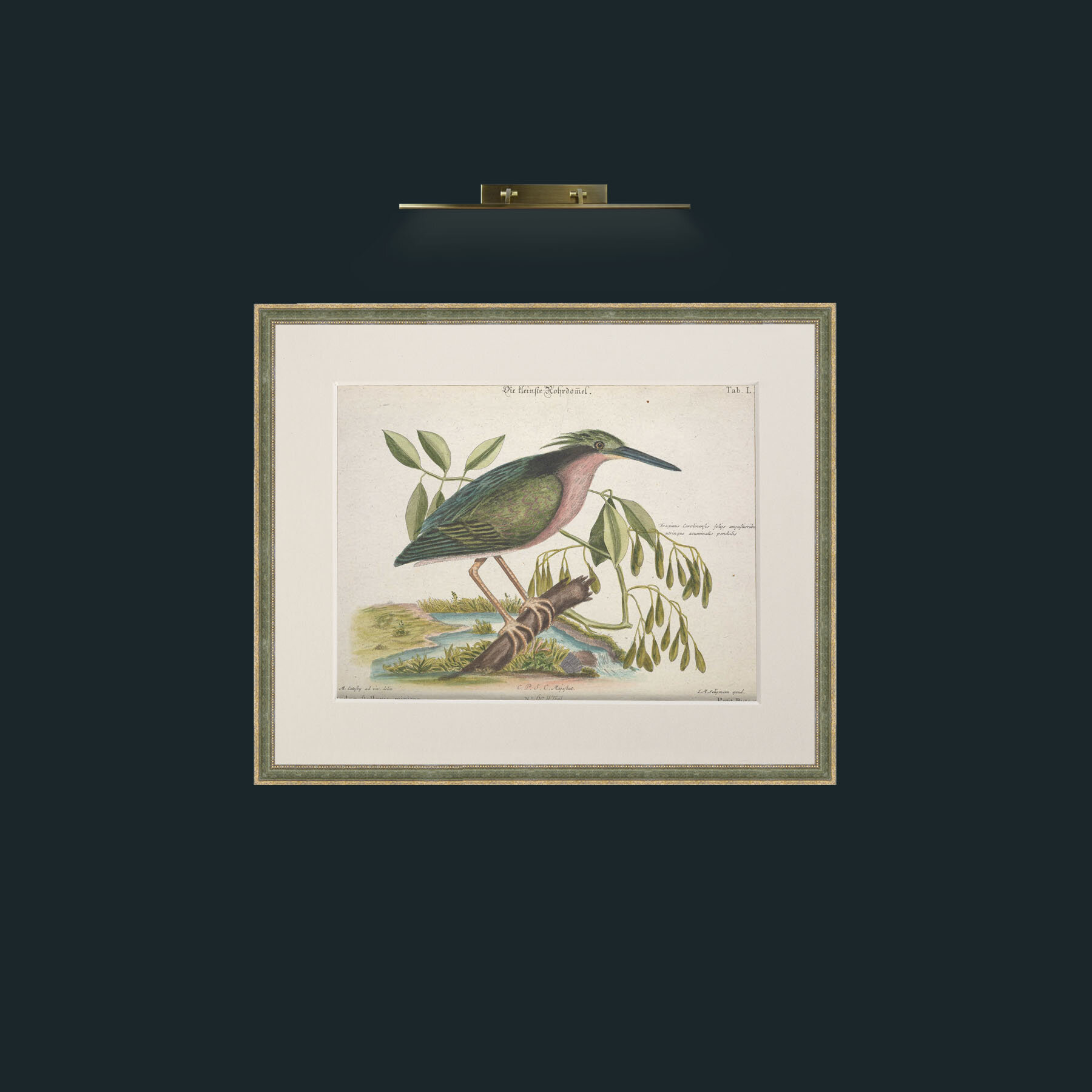 Art-Little Bittern-Frame-2GreenGilttextured-Mount-1Antique.jpg