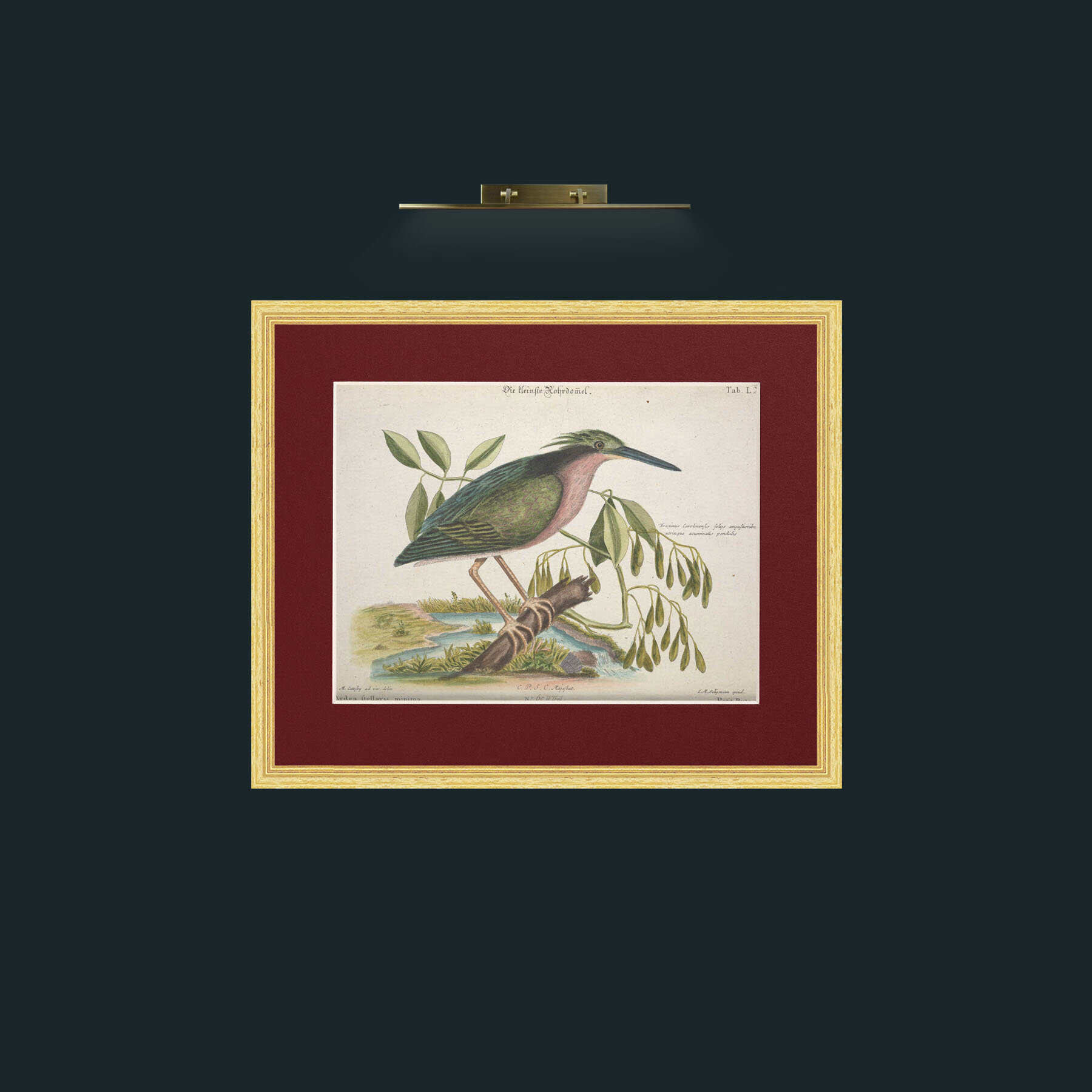 Art-Little Bittern-Frame-4BevelledGilt-Mount-4Red.jpg