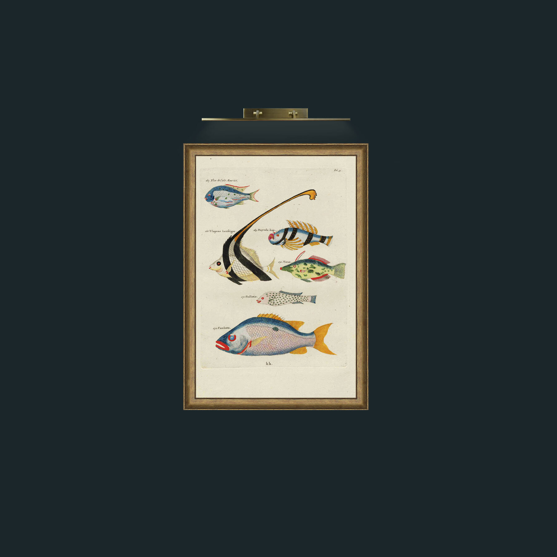 Art-Colourful Fish-Frame-8RedGreenGilt.jpg