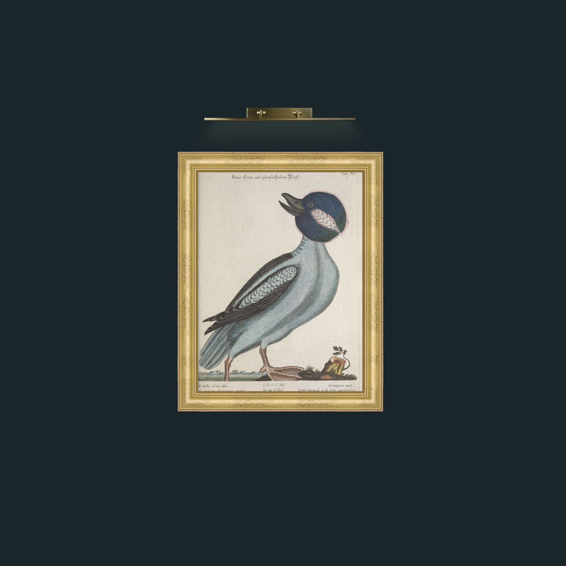 Art-Little Duck-Frame-9WideGilt.jpg