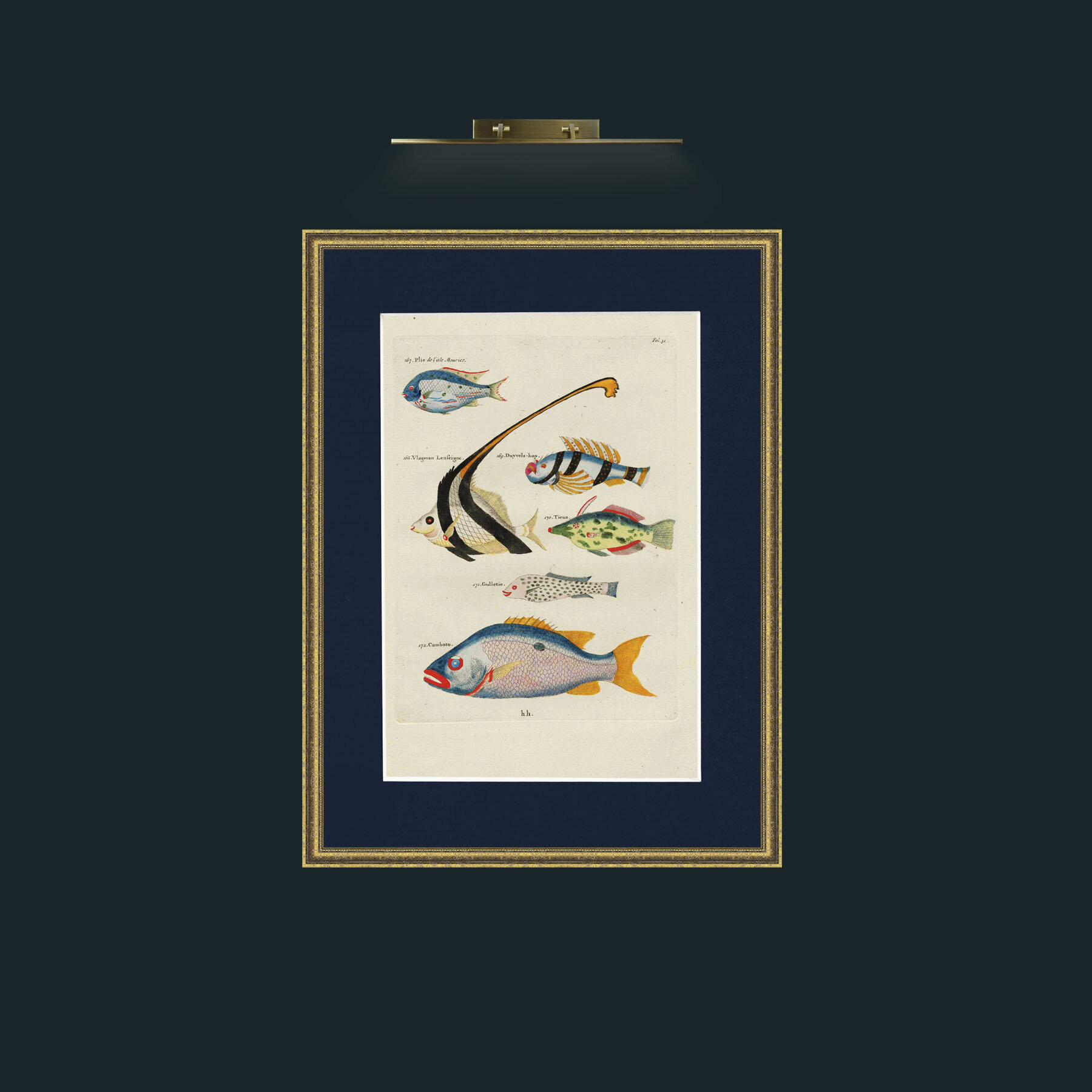Art-Colourful Fish.jpg-Frame-1TexturedGilt-Mount-3Blue.jpg