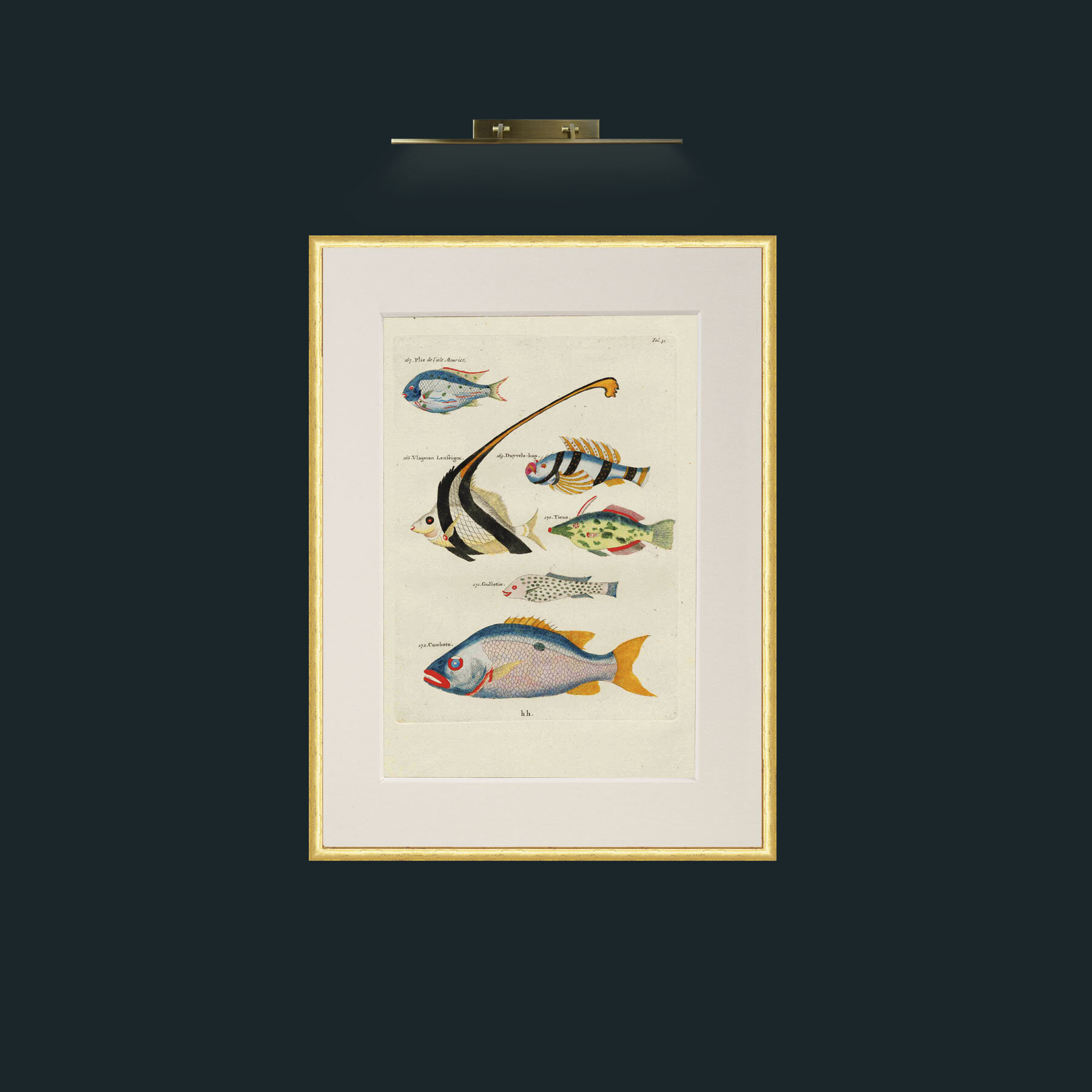 Art-Colourful Fish.jpg-Frame-3RoundedGilt-Mount-1Antique.jpg
