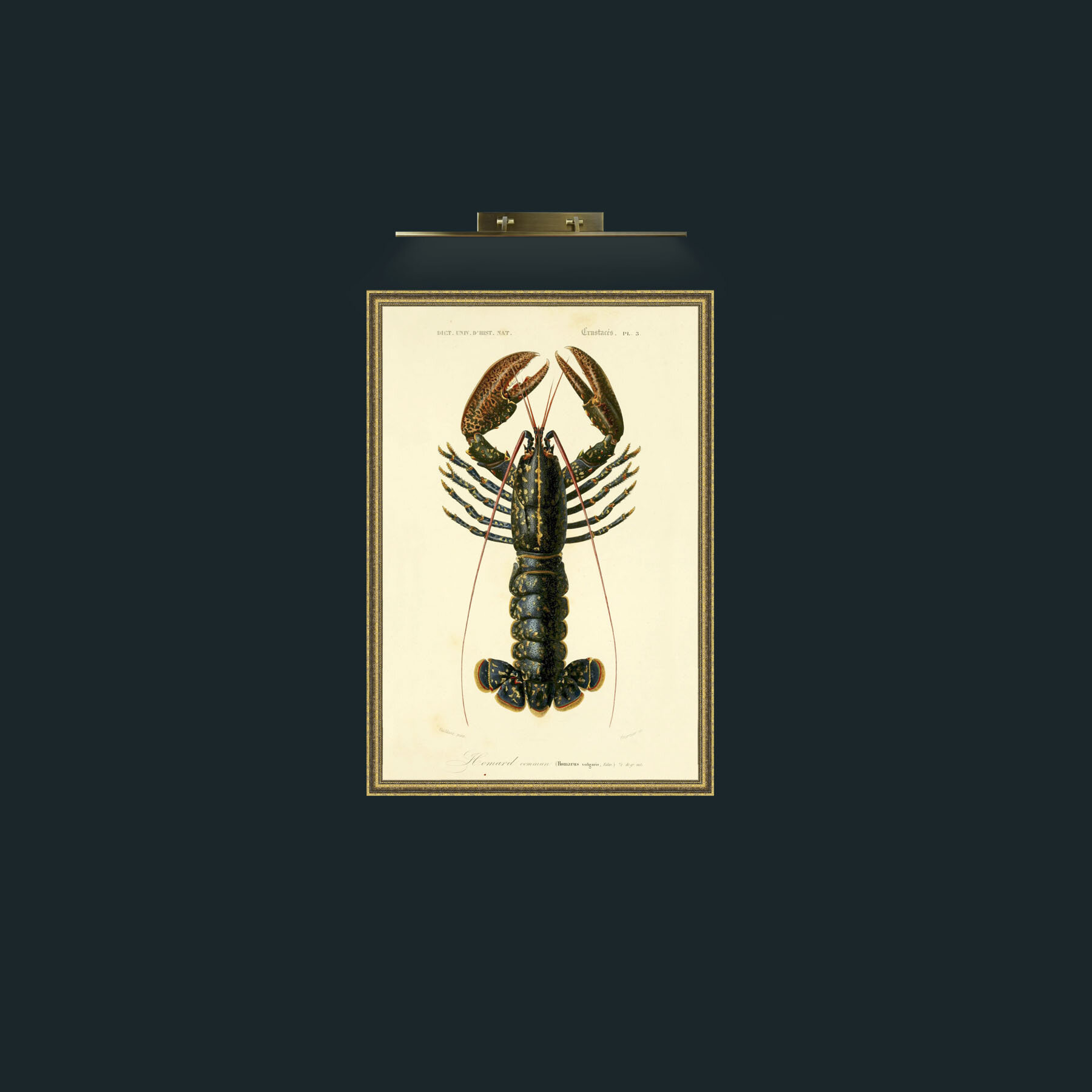 Art-Common Lobster-Frame-1GiltTextured.jpg