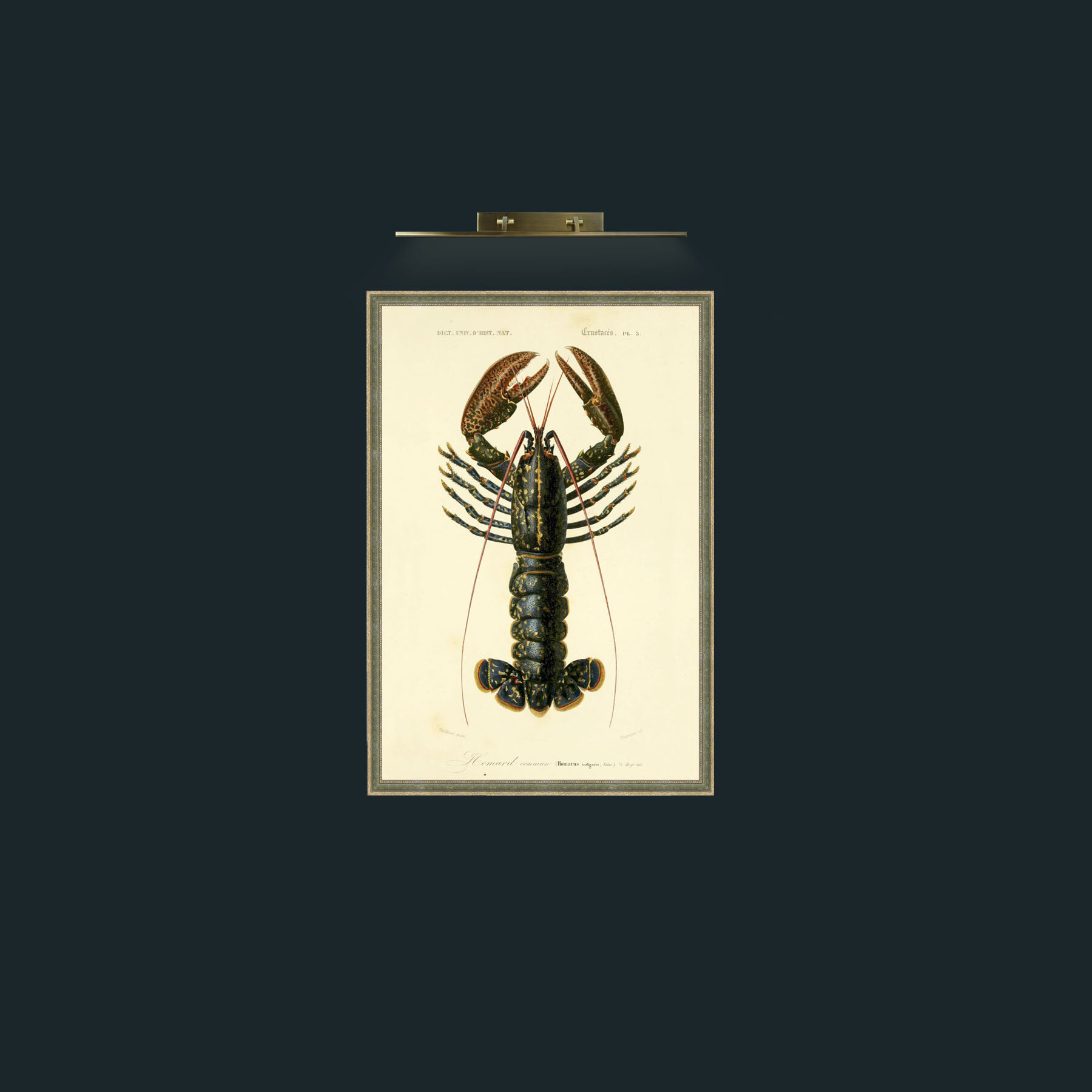Art-Common Lobster-Frame-2GreenGiltTextured.jpg