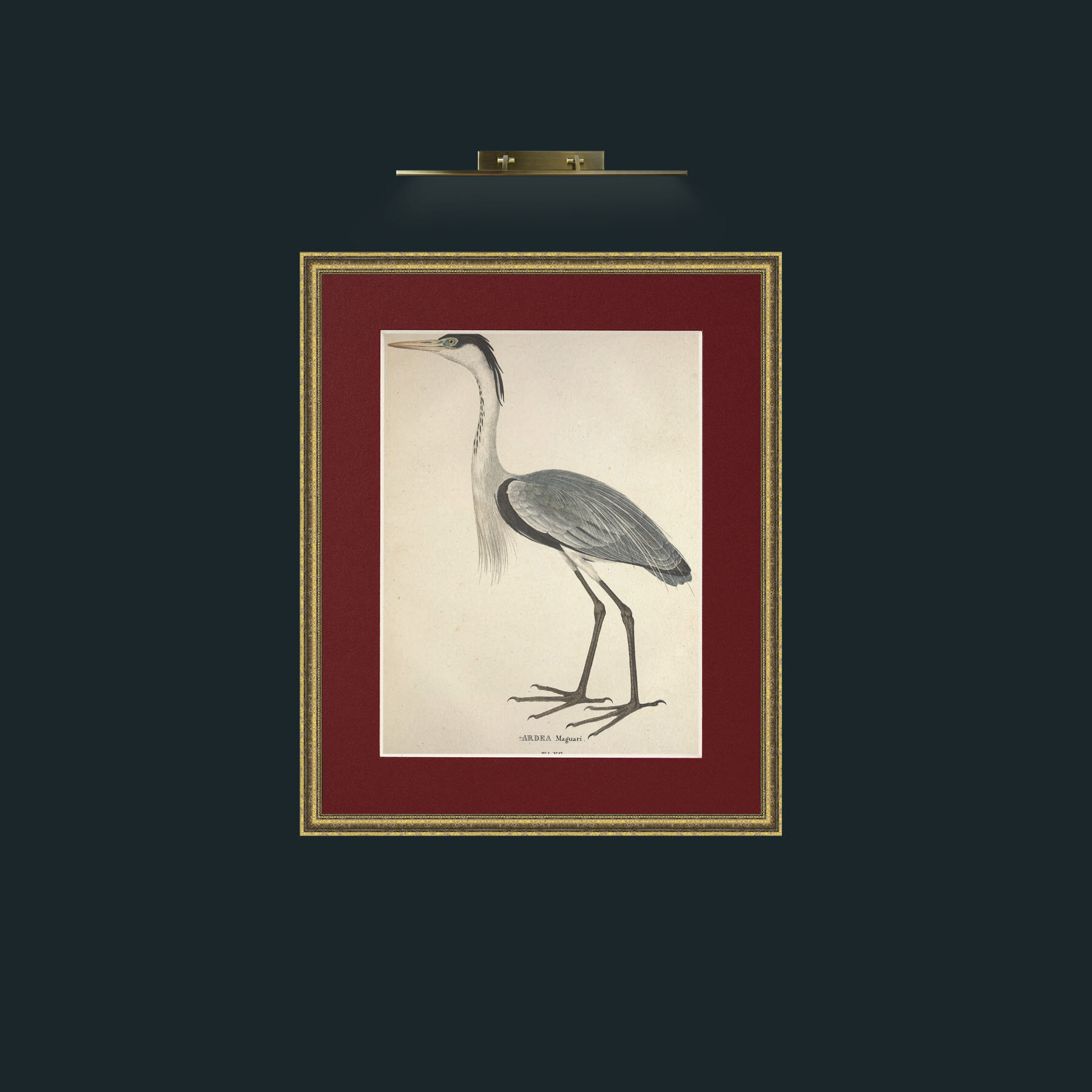 Art-Maguari Ardea-Frame-1GiltTextured-Mount-4Red.jpg