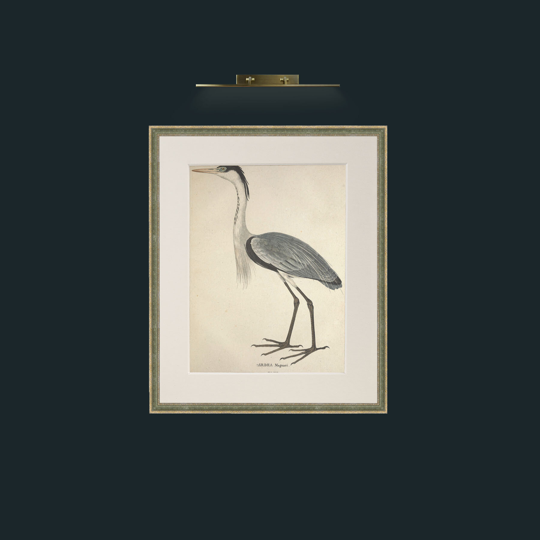 Art-Maguari Ardea-Frame-2GreenGilttextured-Mount-1Antique.jpg
