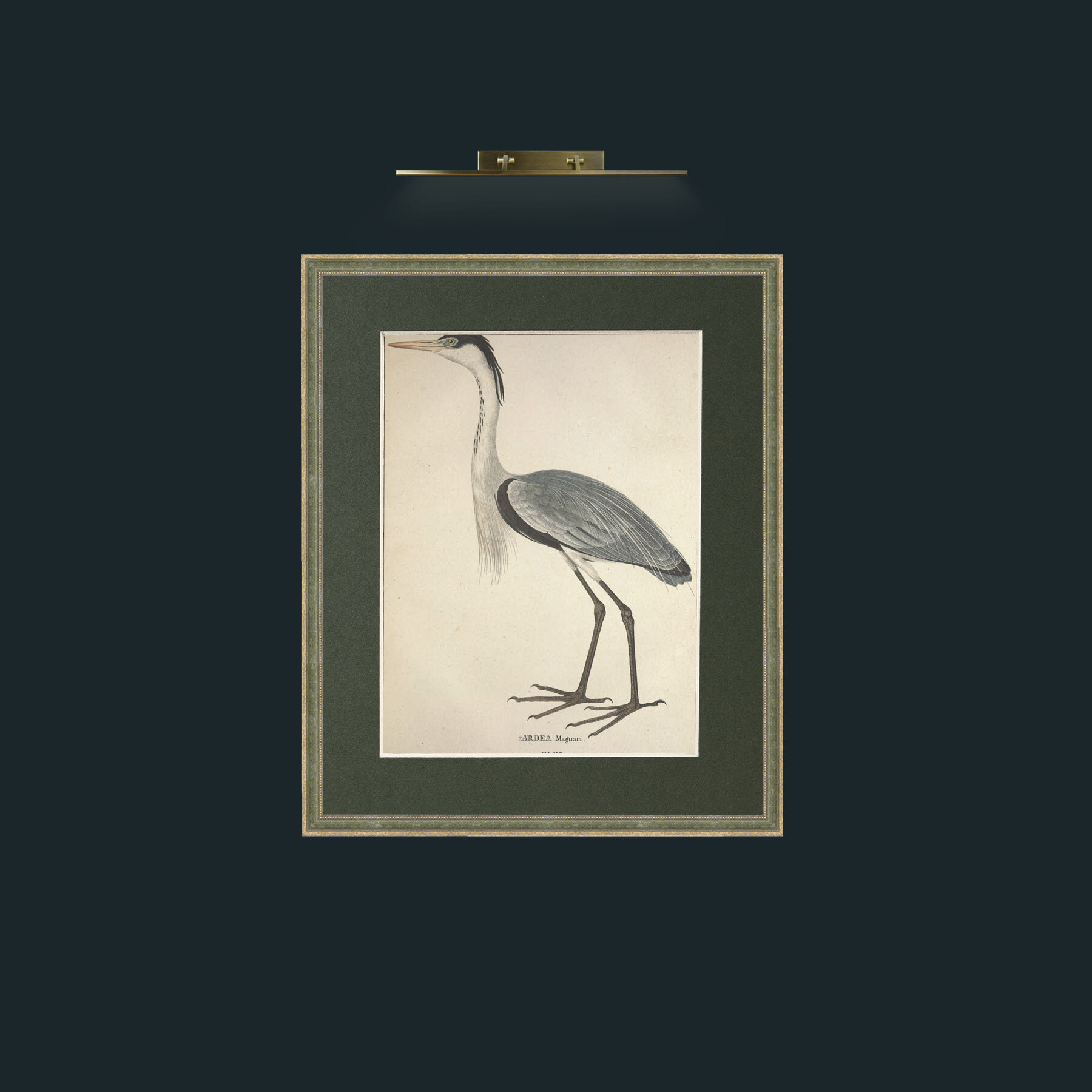 Art-Maguari Ardea-Frame-2GreenGilttextured-Mount-2Green.jpg