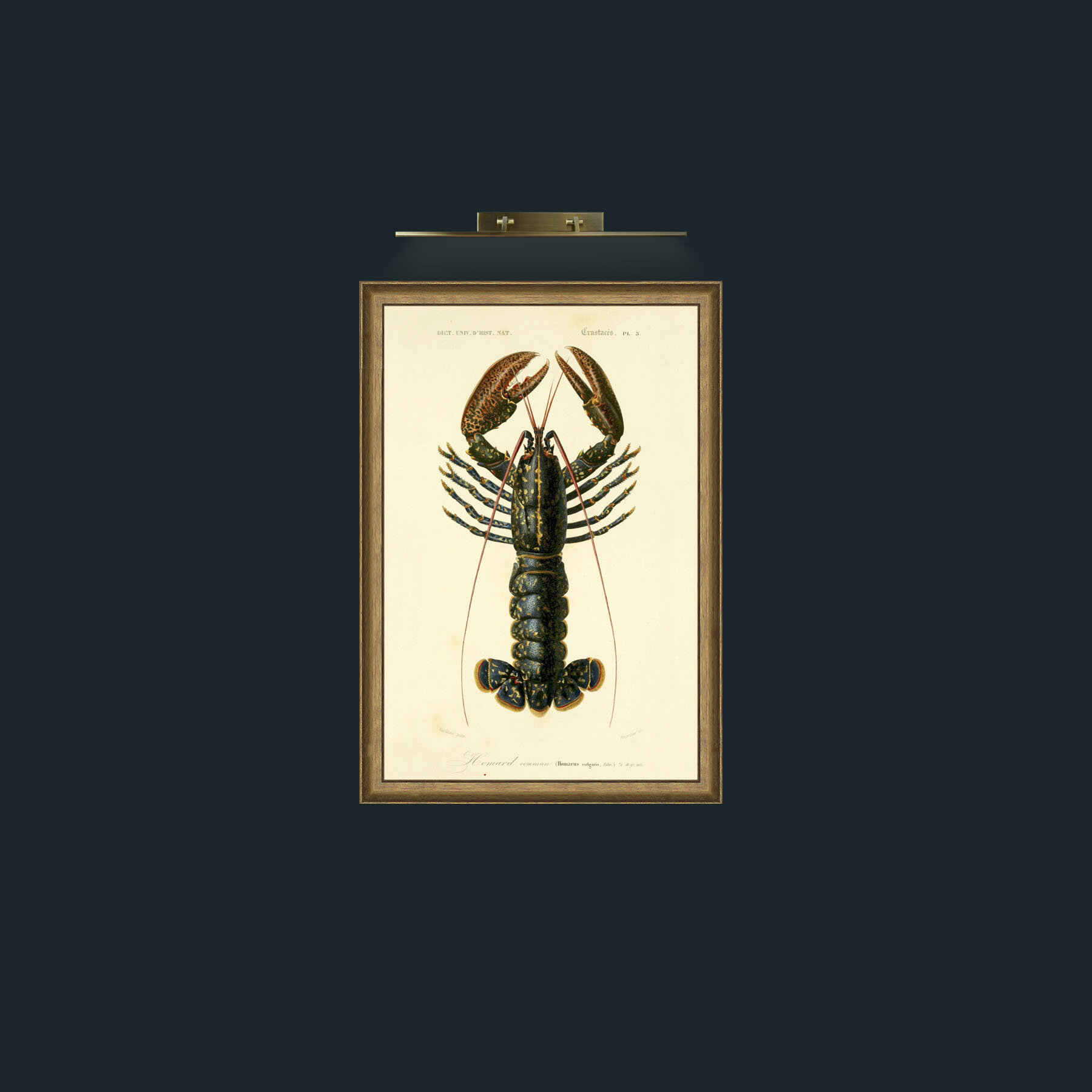 Art-Common Lobster-Frame-8RedGreenGilt.jpg