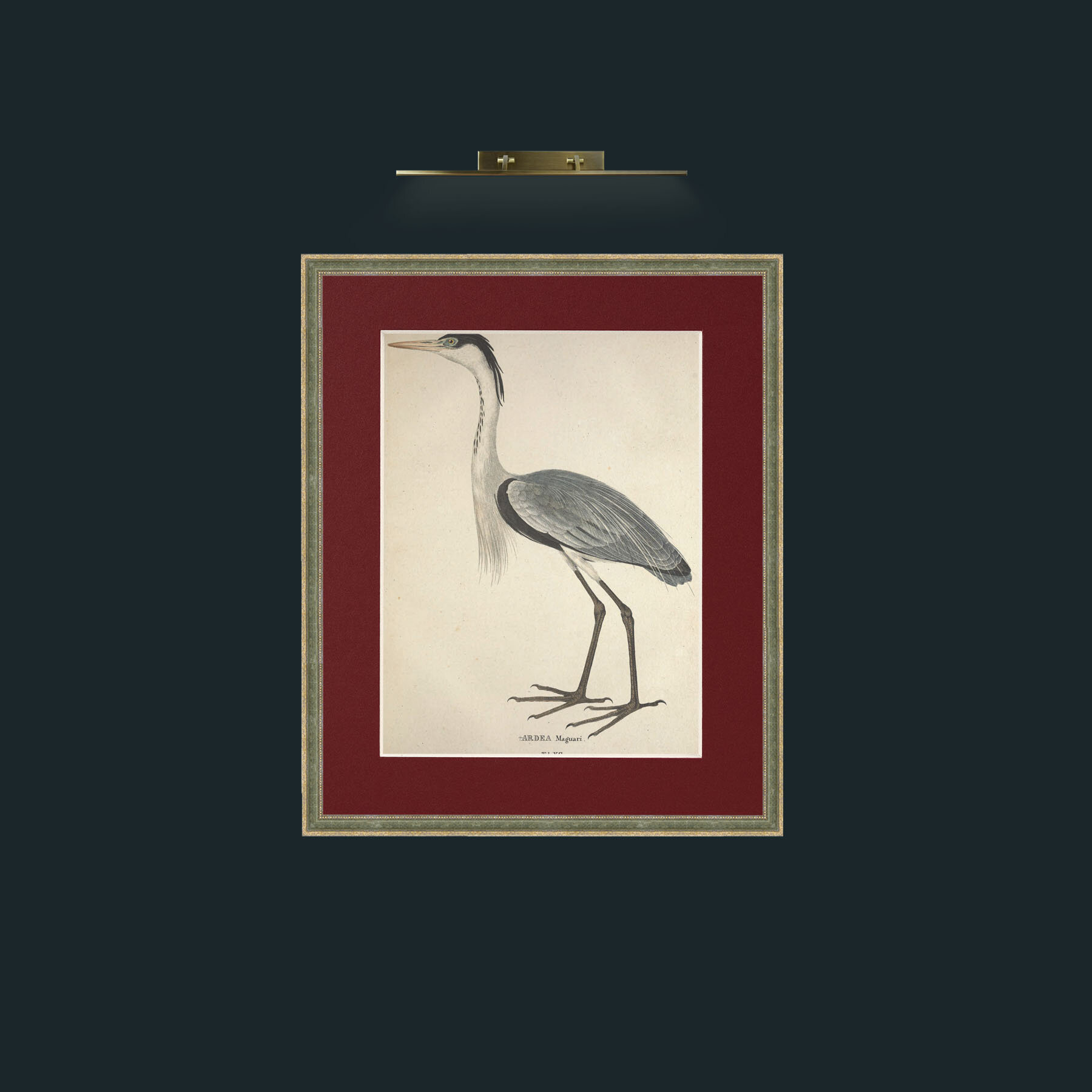 Art-Maguari Ardea-Frame-2GreenGilttextured-Mount-4Red.jpg