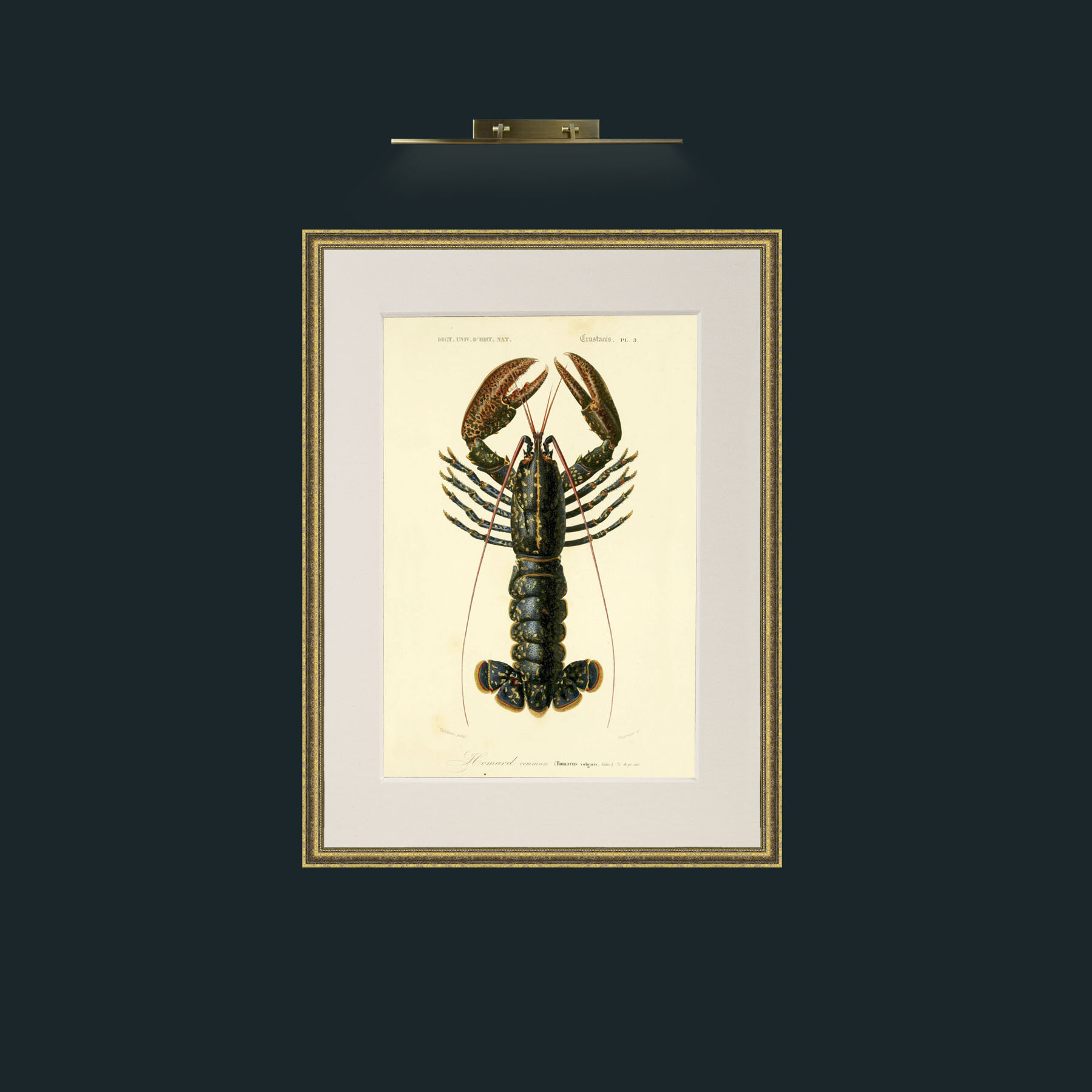 Art-Common Lobster.jpg-Frame-1TexturedGilt-Mount-1Antique.jpg