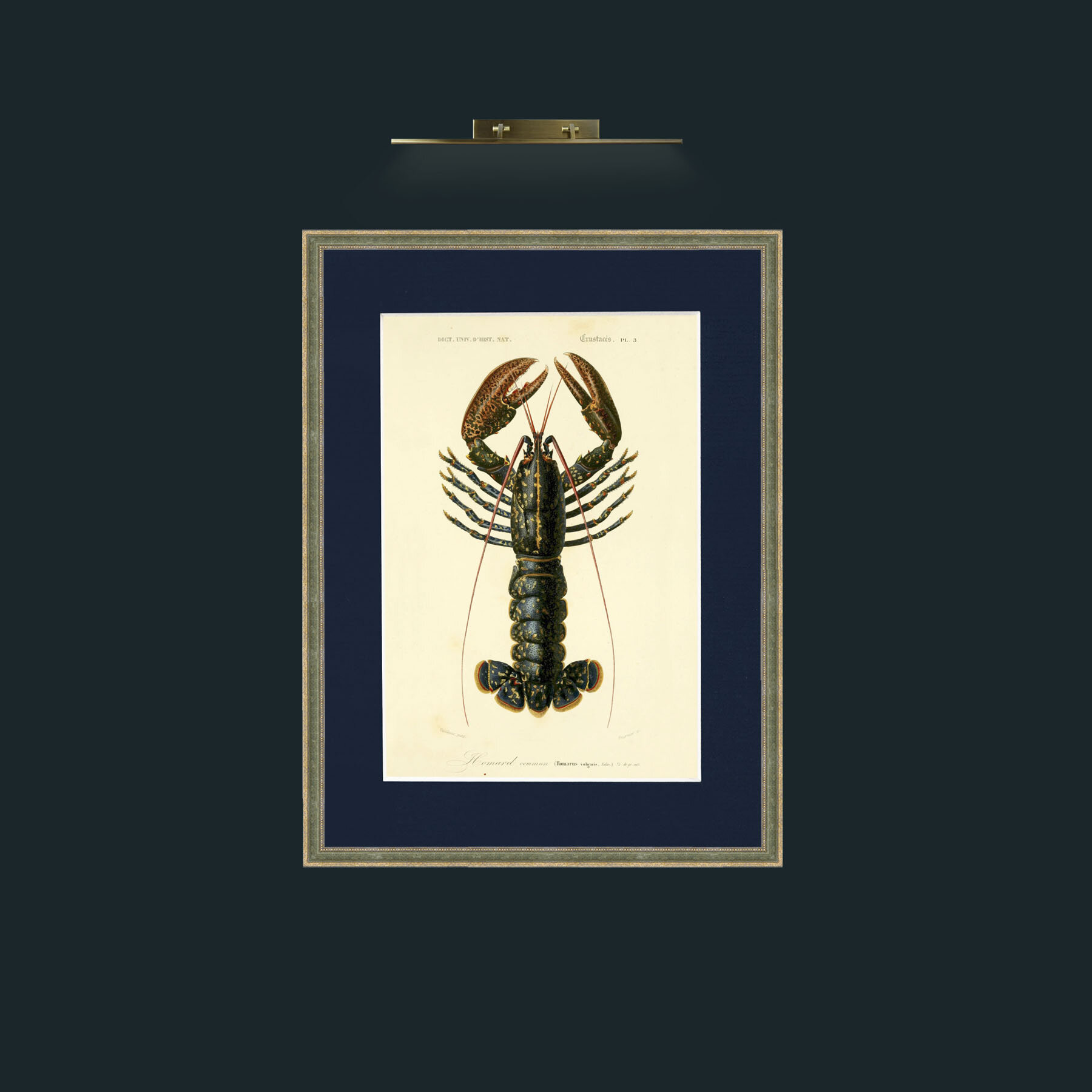 Art-Common Lobster.jpg-Frame-2GreenGiltTextured-Mount-3Blue.jpg