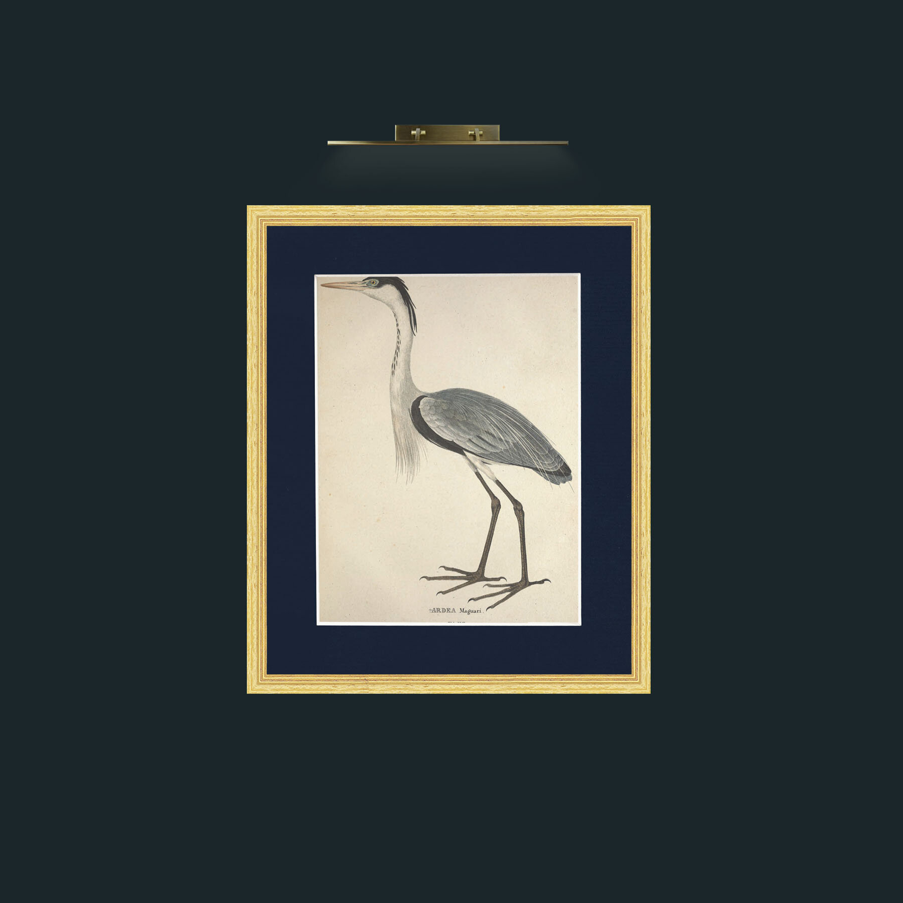 Art-Maguari Ardea-Frame-4BevelledGilt-Mount-3Blue.jpg