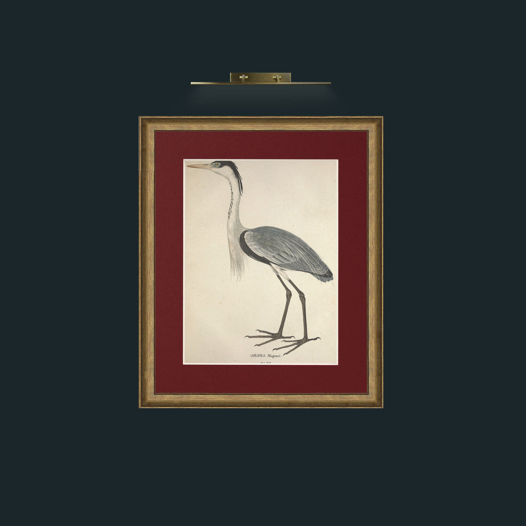 Art-Maguari Ardea-Frame-8RedGreenGilt-Mount-4Red.jpg