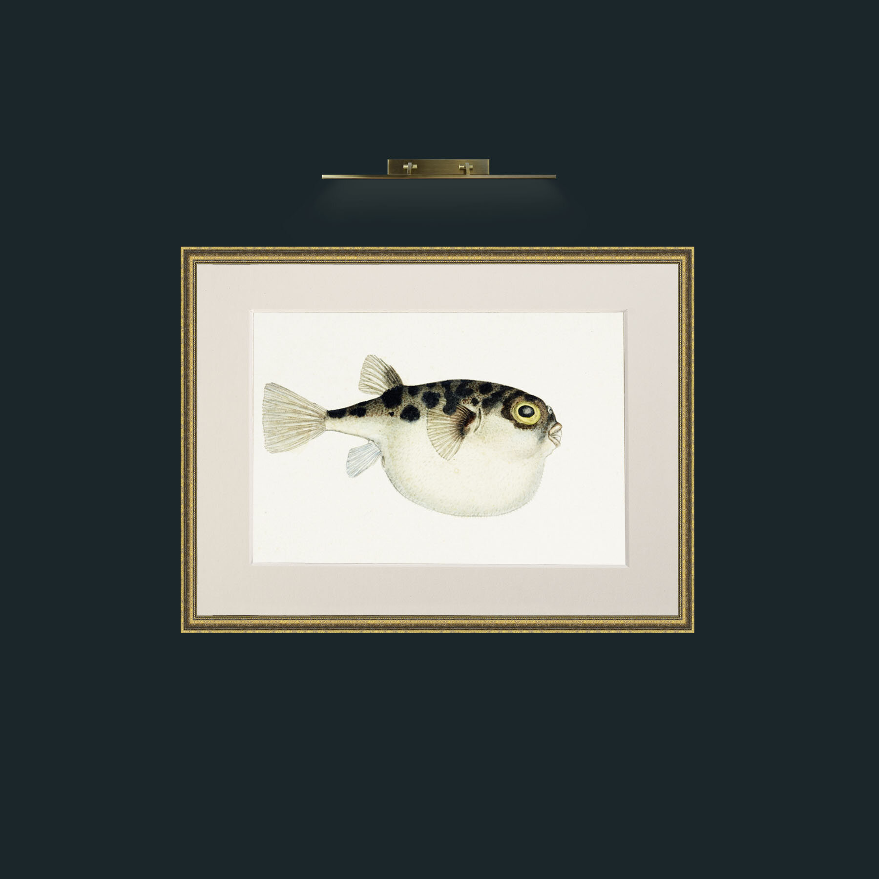 Art-Cow Fish-Frame-1TexturedGilt-Mount-1Antique.jpg