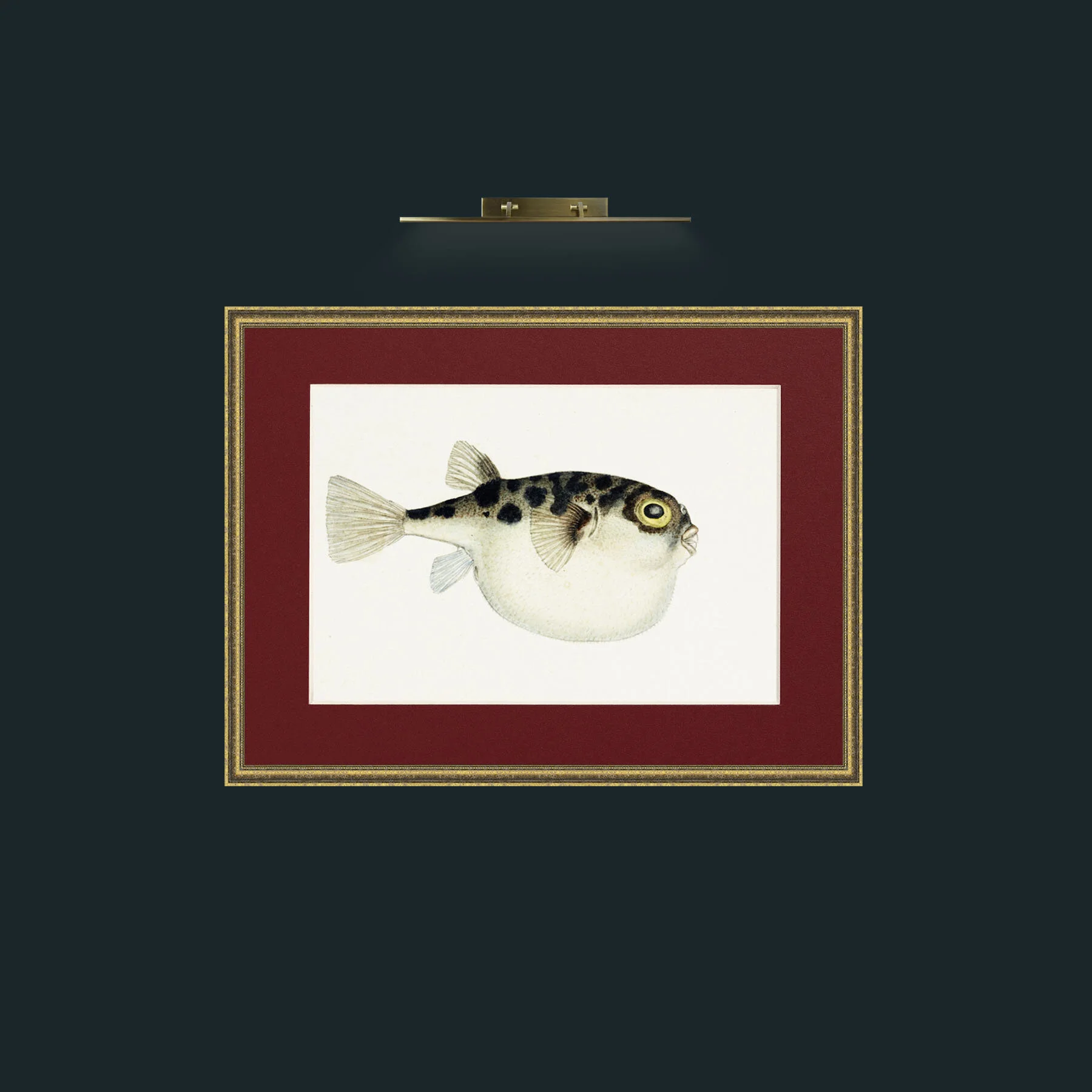 Art-Cow Fish-Frame-1TexturedGilt-Mount-4Red.jpg