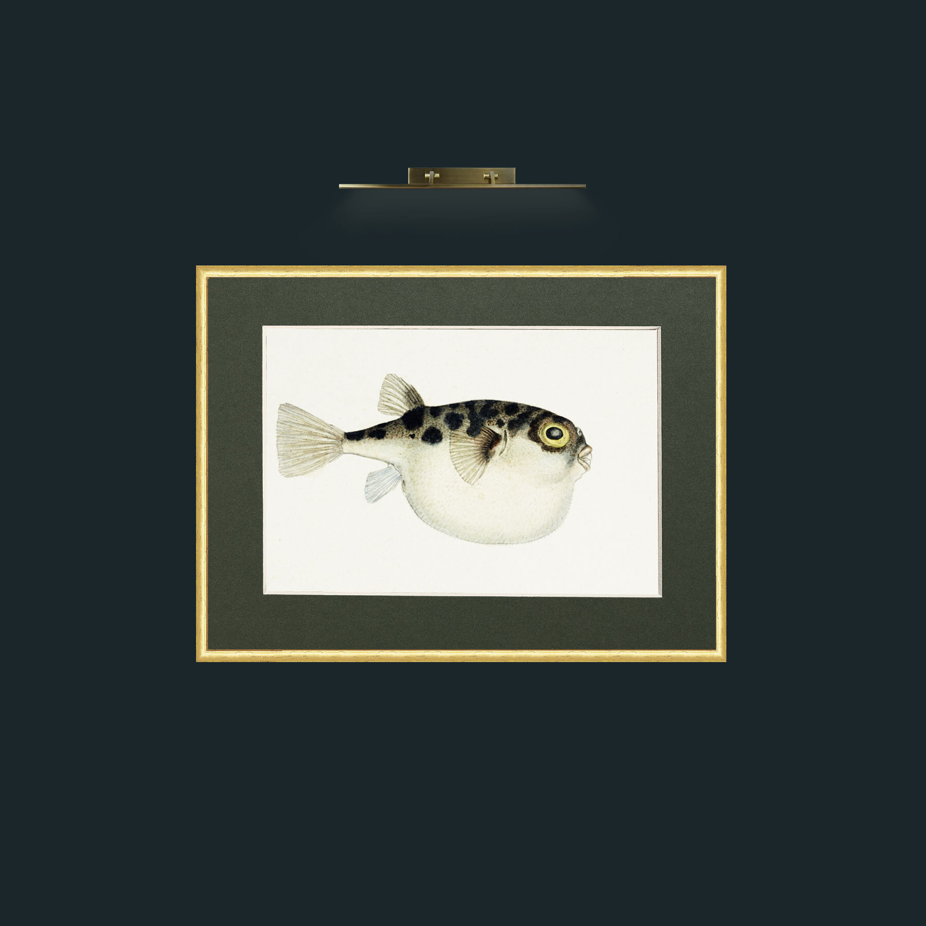 Art-Cow Fish-Frame-3RoundedGilt-Mount-2Green.jpg