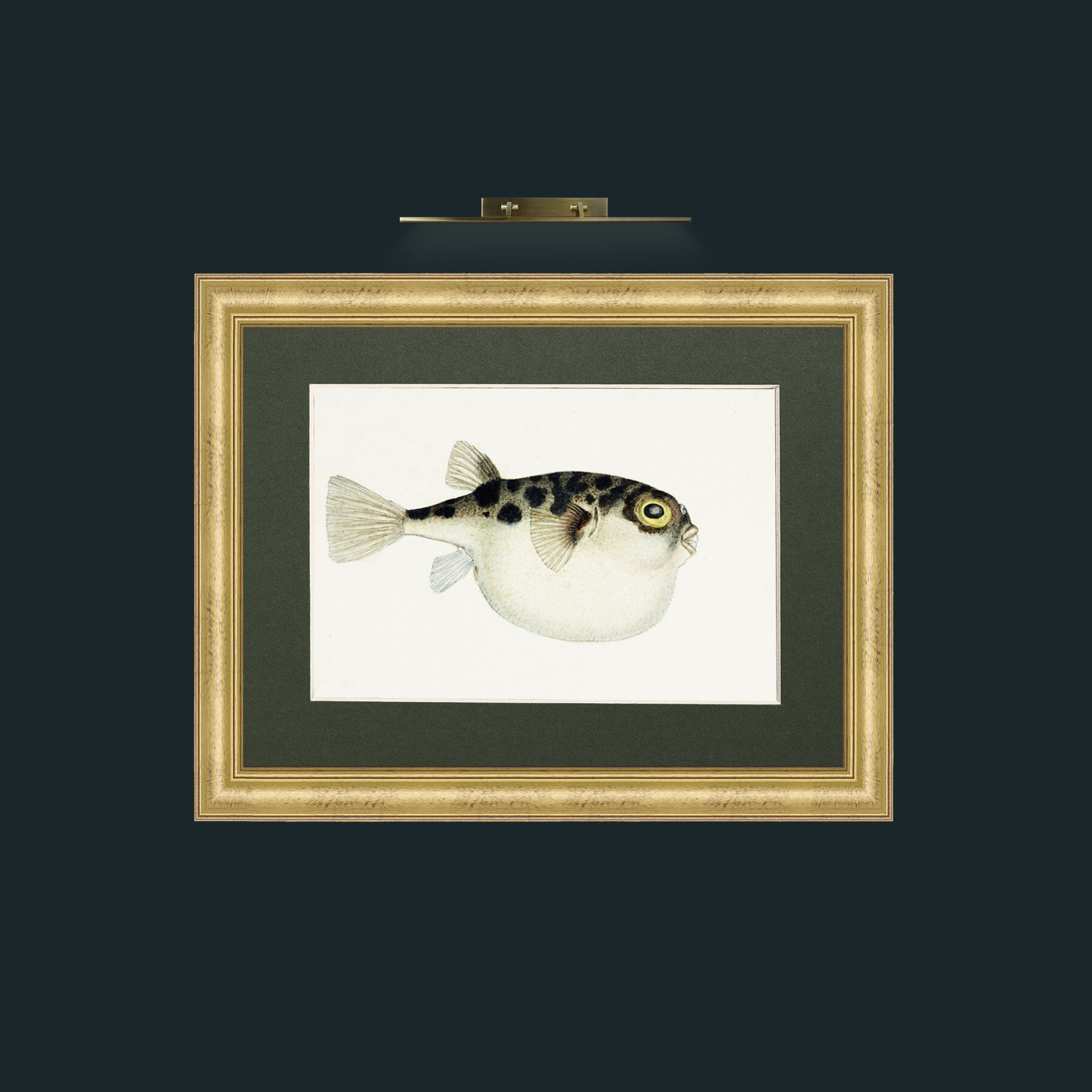 Art-Cow Fish-Frame-9WideGilt-Mount-2Green.jpg