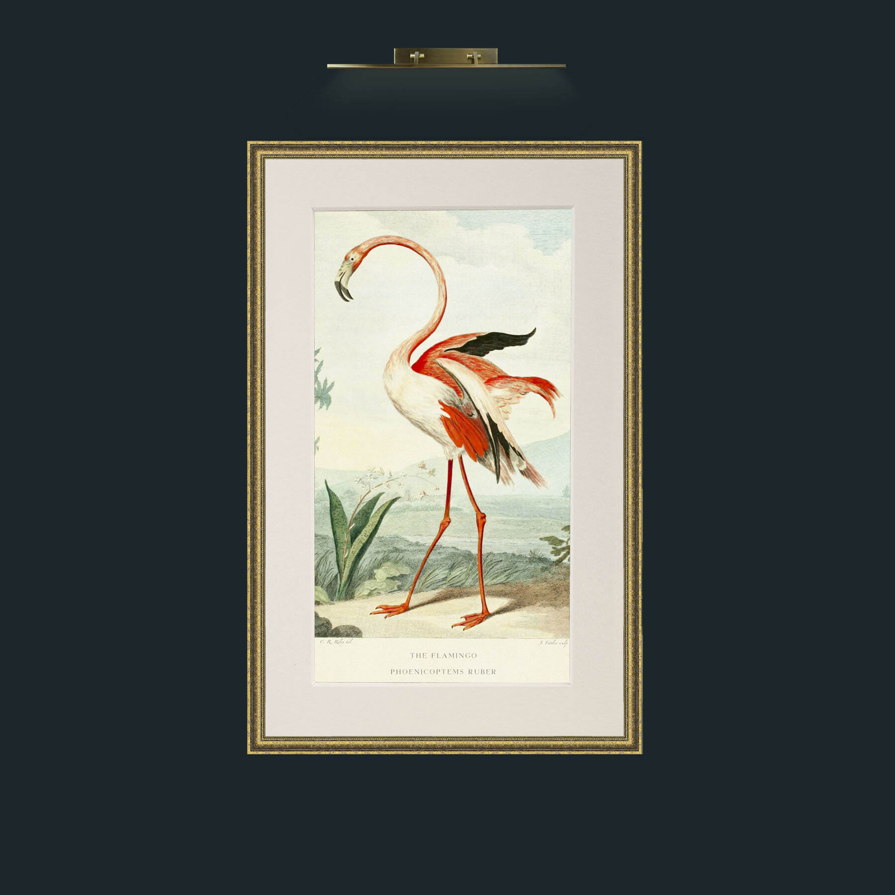 Art-PrintReadyFlamingoFinal.jpg-Frame-1GiltTextured-Mount-1Antique.jpg
