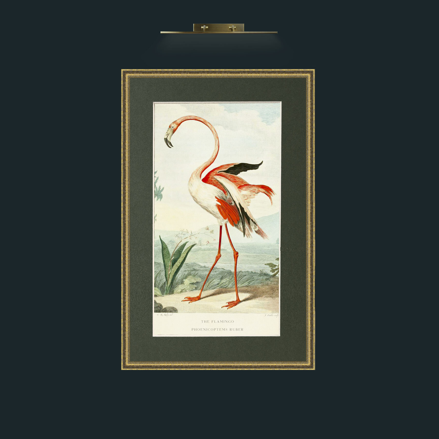 Art-PrintReadyFlamingoFinal.jpg-Frame-1GiltTextured-Mount-2Green.jpg