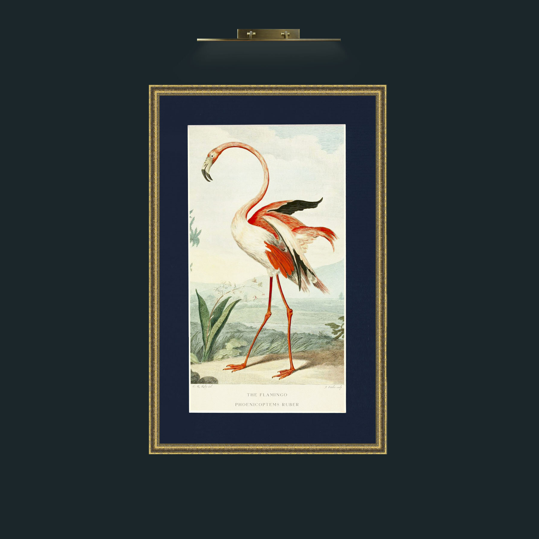 Art-PrintReadyFlamingoFinal.jpg-Frame-1GiltTextured-Mount-3Blue.jpg