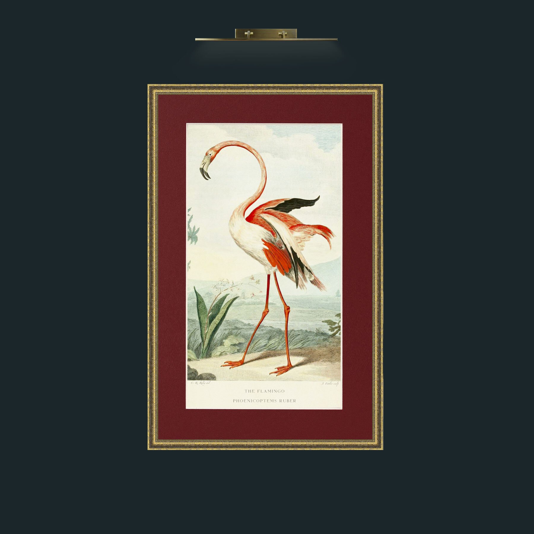 Art-PrintReadyFlamingoFinal.jpg-Frame-1GiltTextured-Mount-4Red.jpg