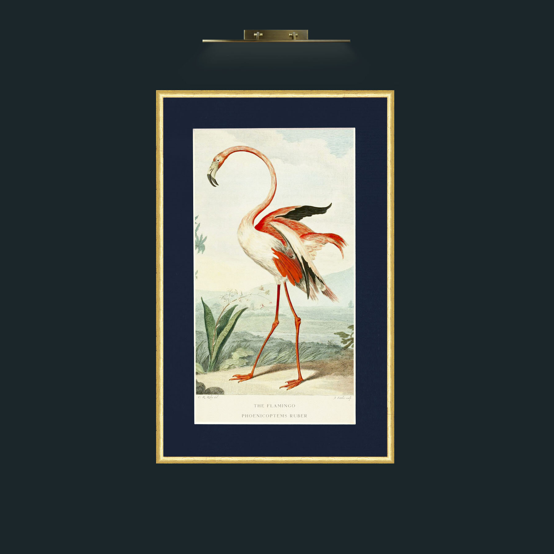 Art-PrintReadyFlamingoFinal.jpg-Frame-3RoundedGilt-Mount-3Blue.jpg