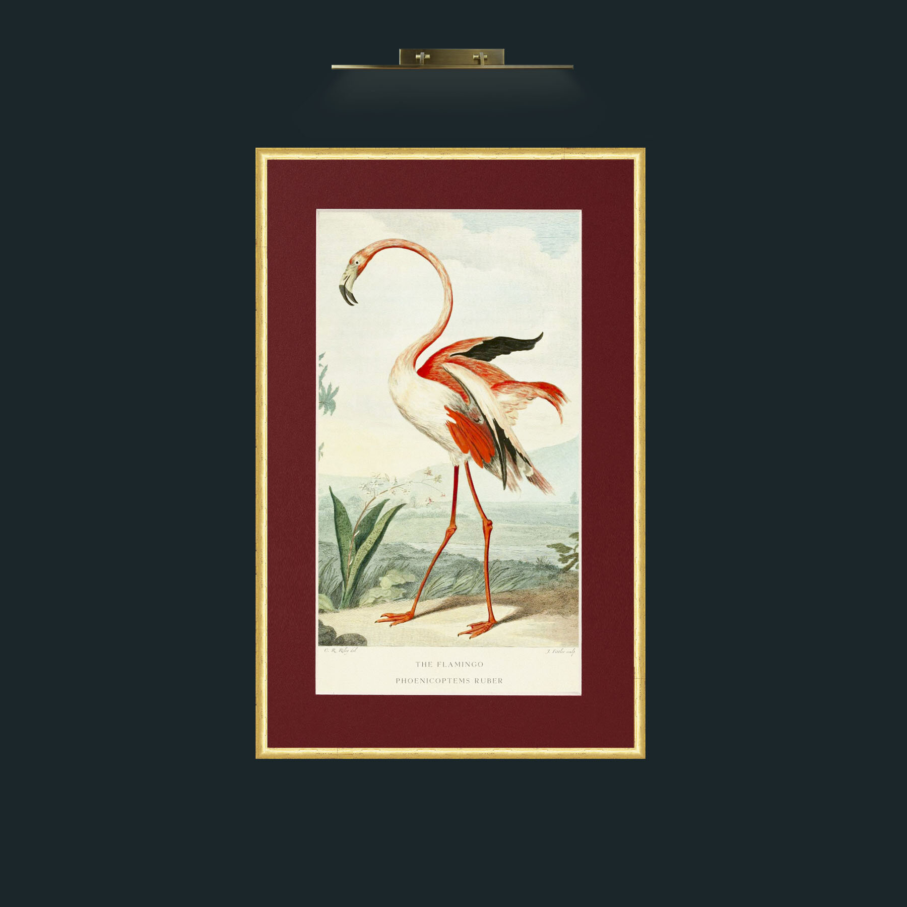 Art-PrintReadyFlamingoFinal.jpg-Frame-3RoundedGilt-Mount-4Red.jpg