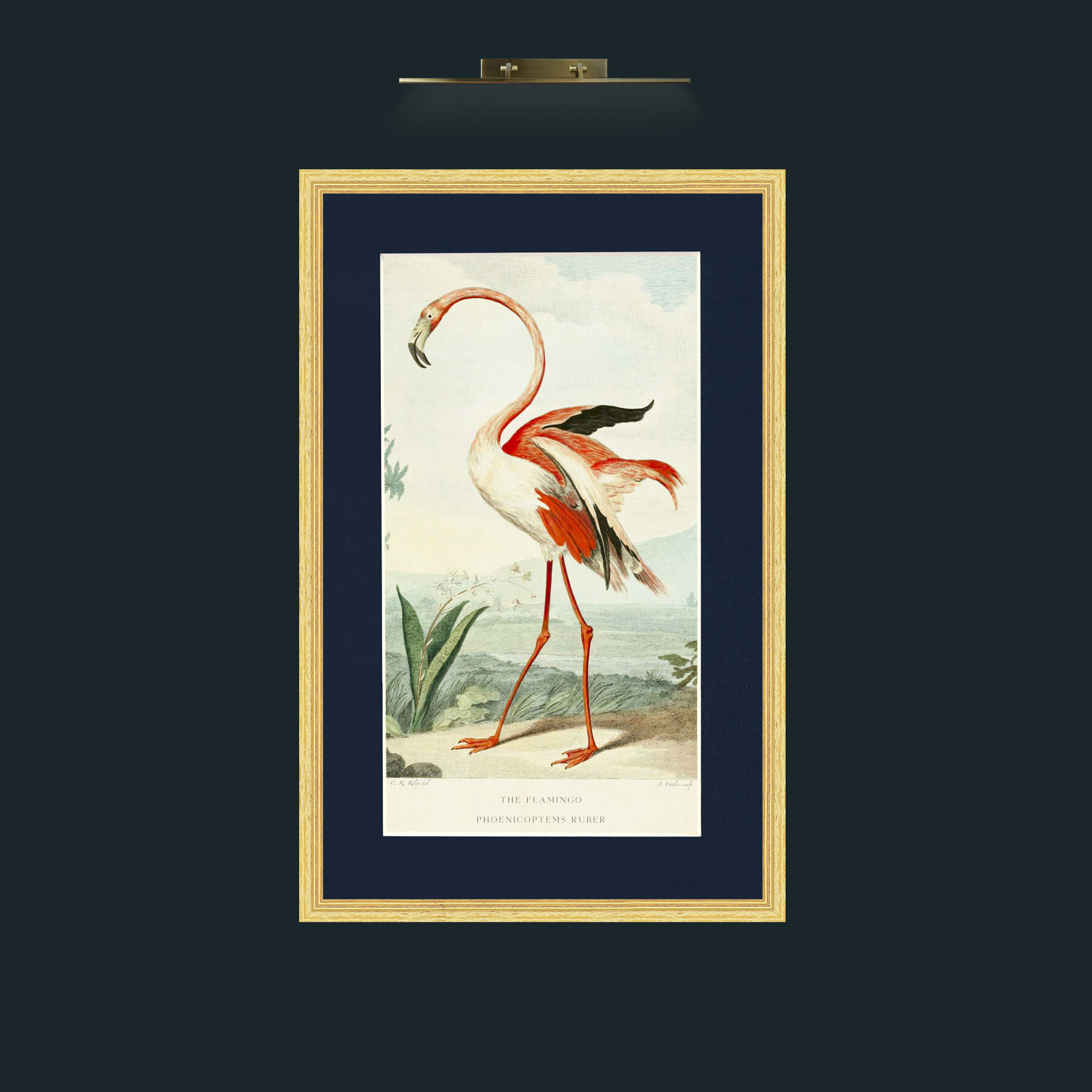 Art-PrintReadyFlamingoFinal.jpg-Frame-4BevelledGilt-Mount-3Blue.jpg