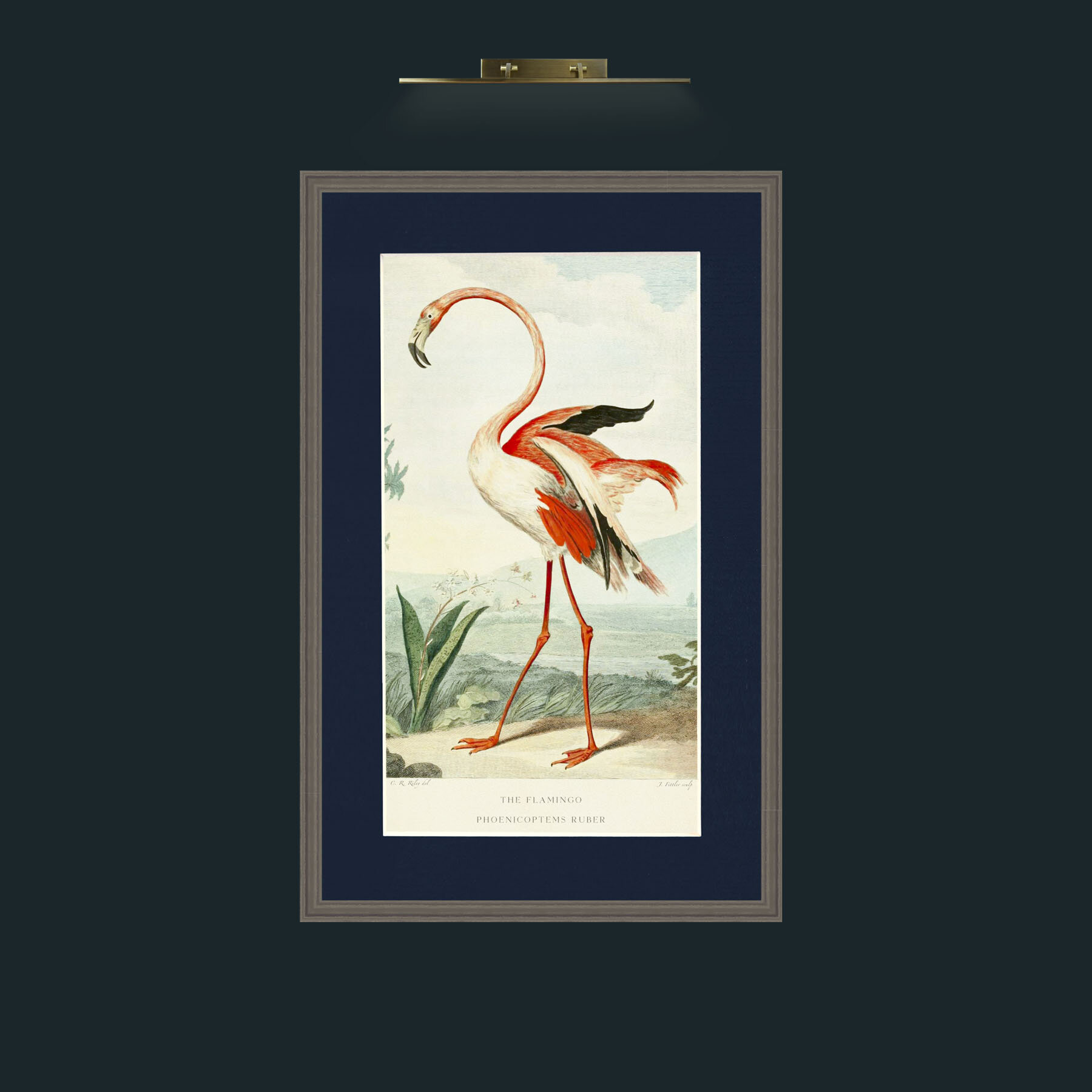 Art-PrintReadyFlamingoFinal.jpg-Frame-6Grey-Mount-3Blue.jpg