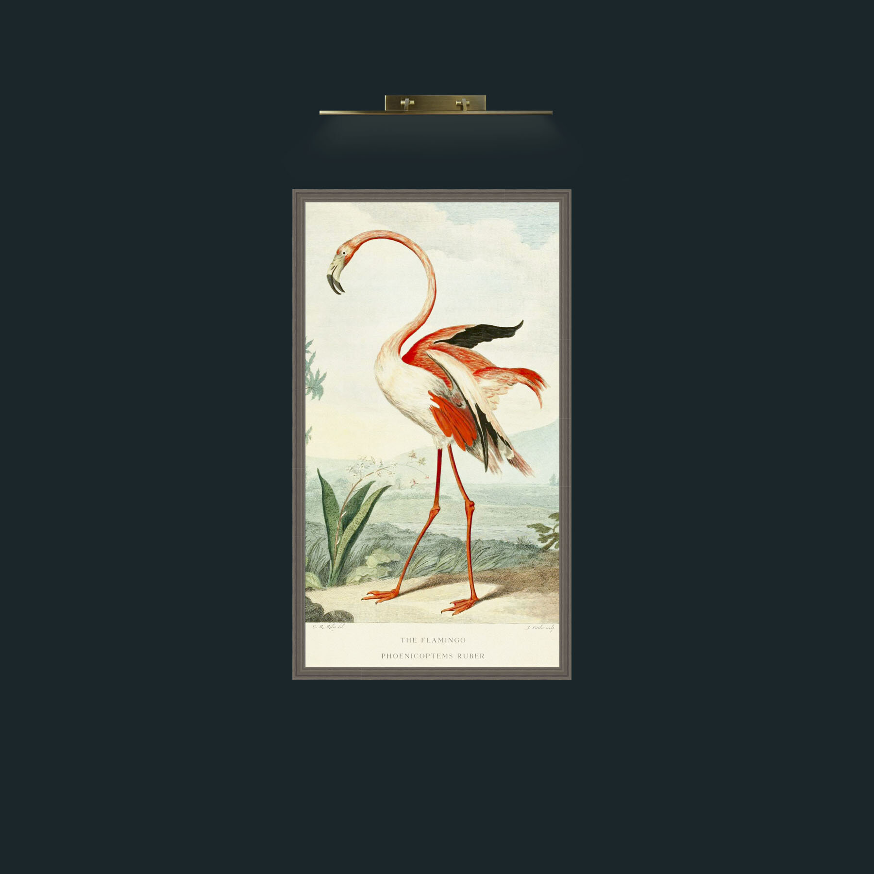 Art-PrintReadyFlamingoFinal.jpg-Frame-6Grey.jpg