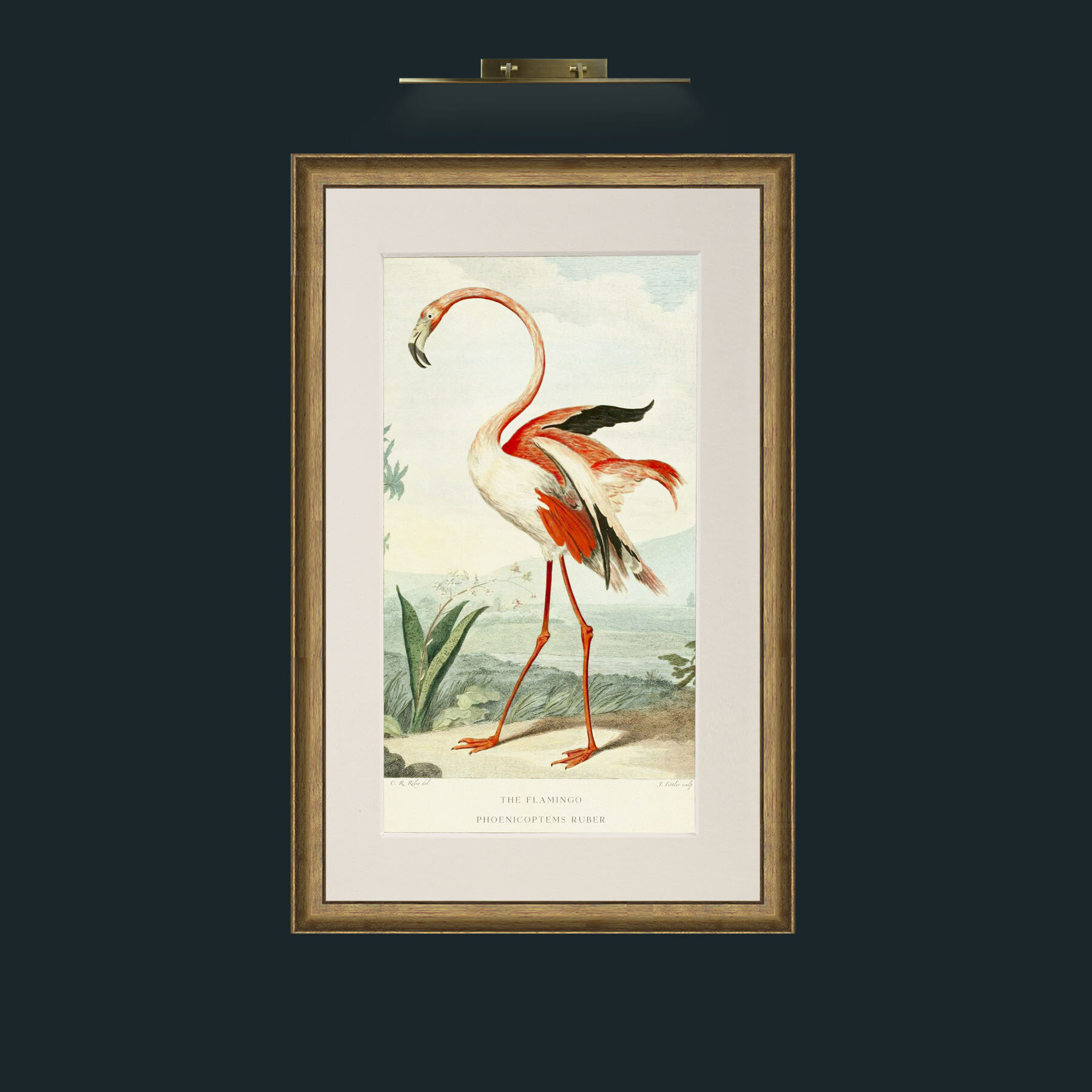 Art-PrintReadyFlamingoFinal.jpg-Frame-8RedGreenGilt-Mount-1Antique.jpg