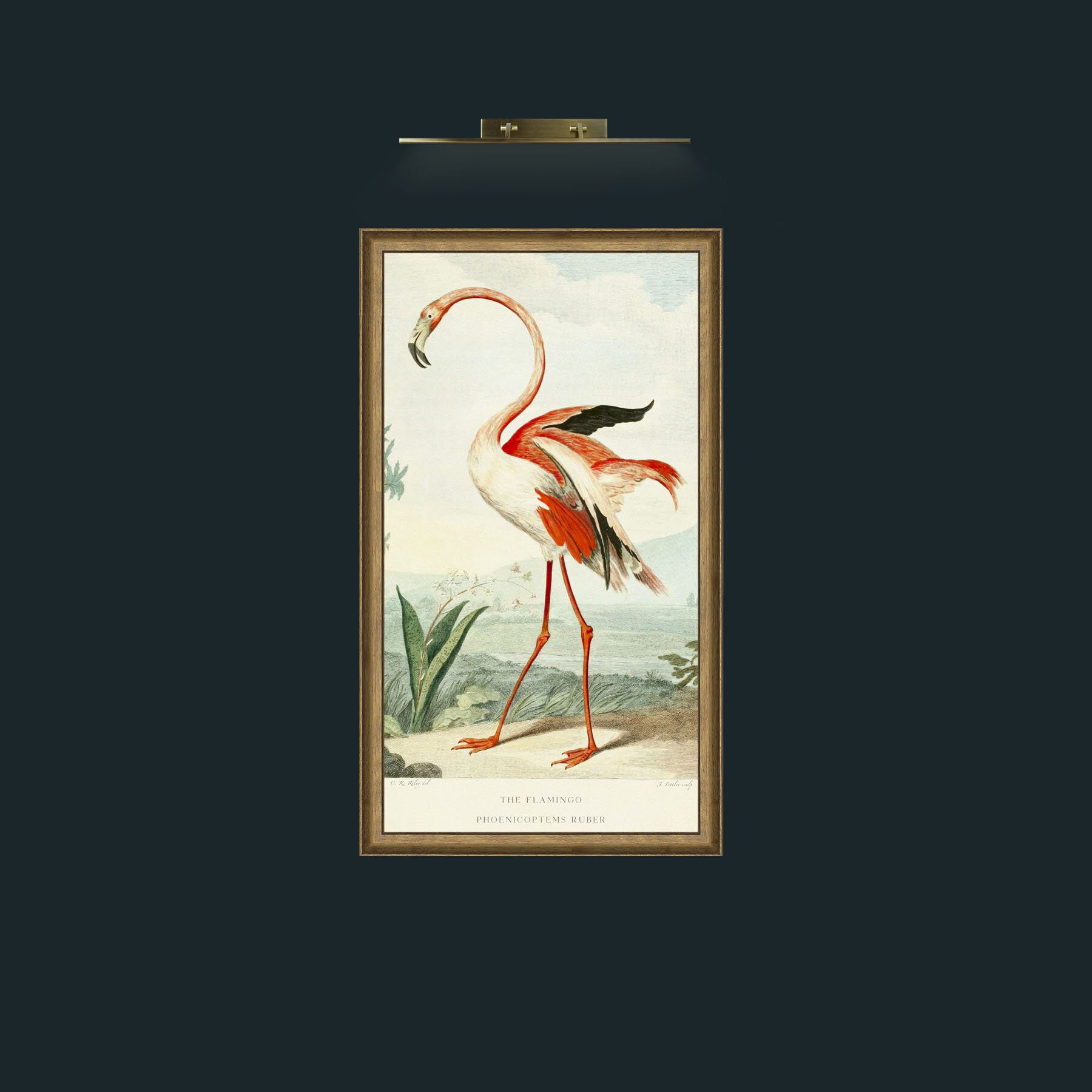 Art-PrintReadyFlamingoFinal.jpg-Frame-8RedGreenGilt.jpg