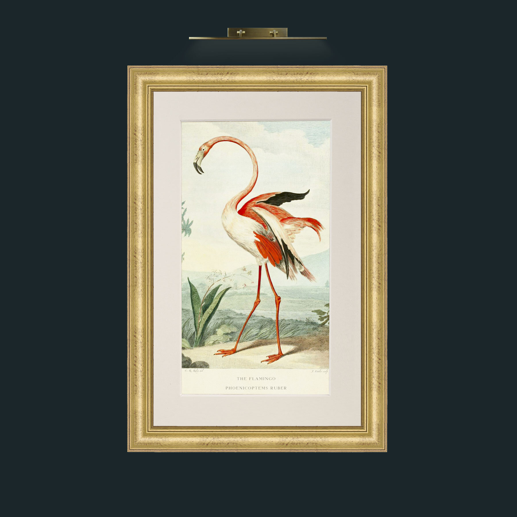 Art-PrintReadyFlamingoFinal.jpg-Frame-9WideGilt-Mount-1Antique.jpg