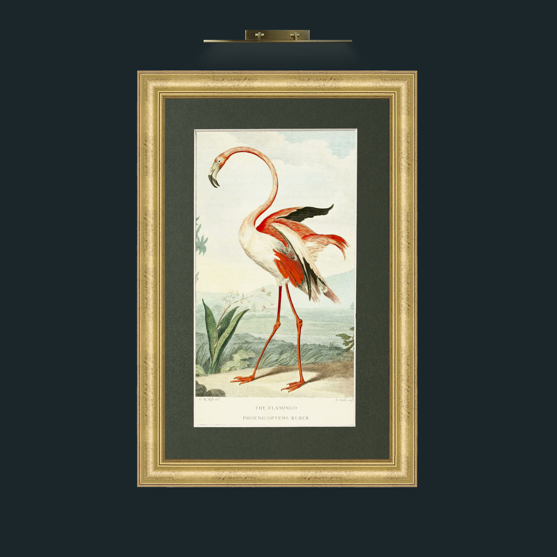 Art-PrintReadyFlamingoFinal.jpg-Frame-9WideGilt-Mount-2Green.jpg