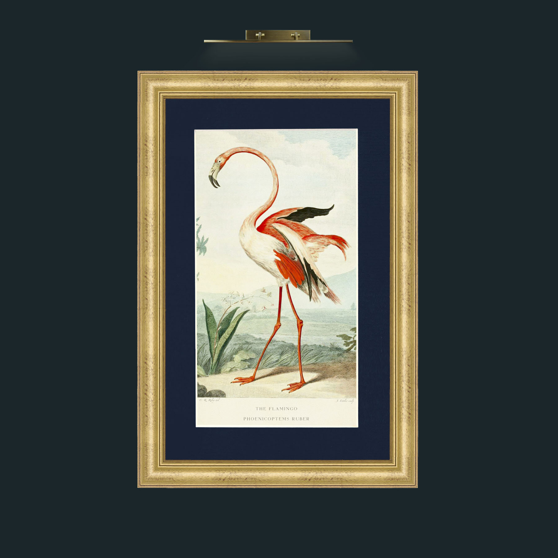 Art-PrintReadyFlamingoFinal.jpg-Frame-9WideGilt-Mount-3Blue.jpg