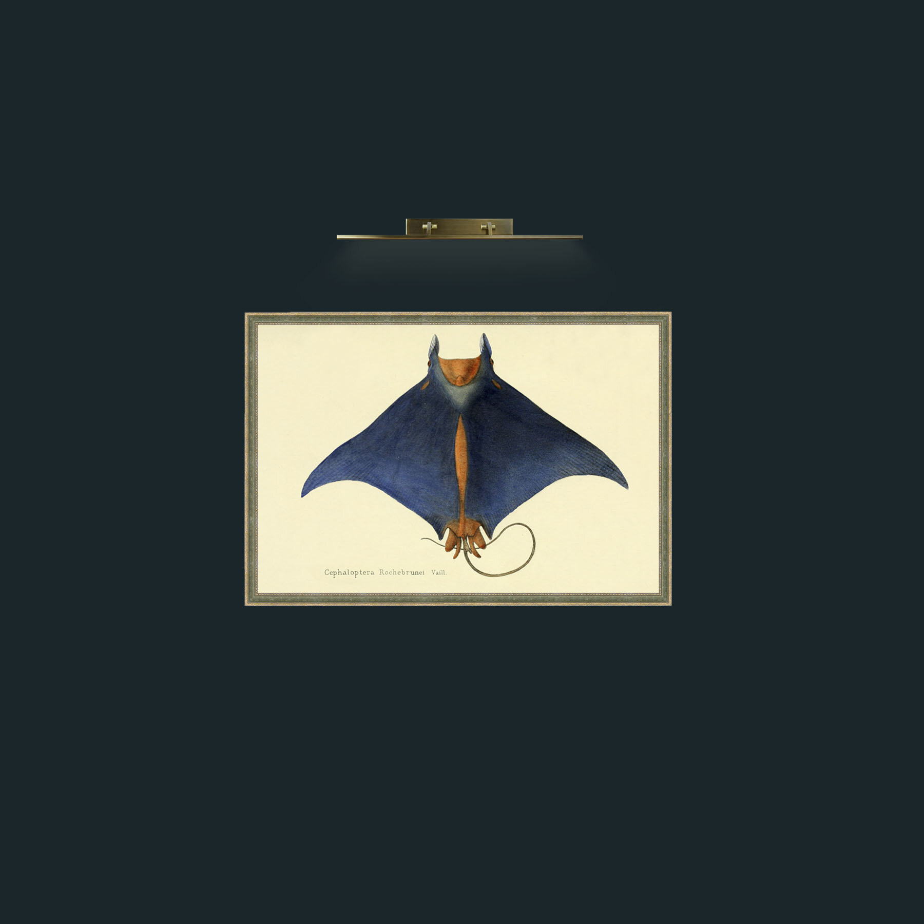 Art-Devil Ray-Frame-2GreenGiltTextured.jpg