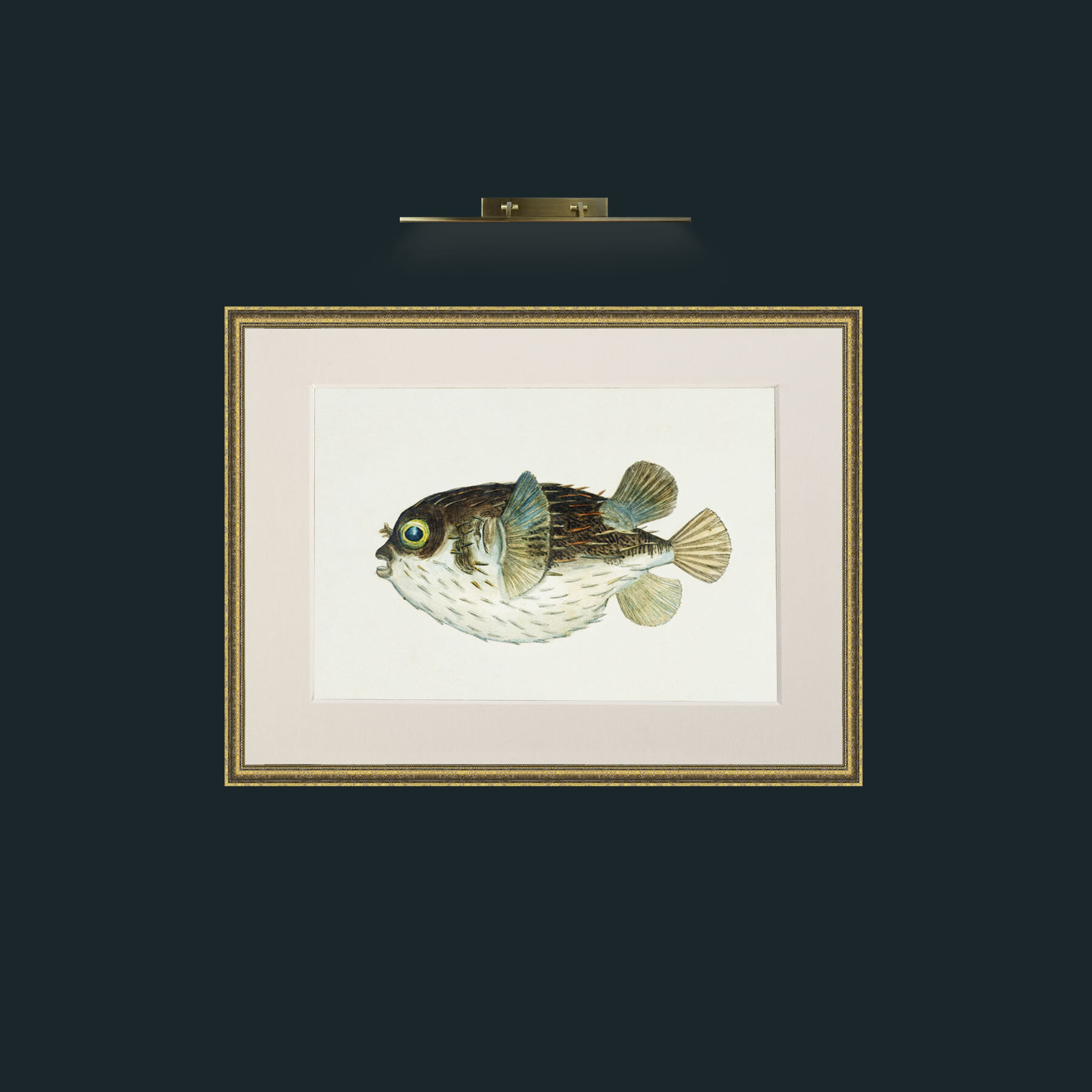 Art-Diodon-Frame-1TexturedGilt-Mount-1Antique.jpg