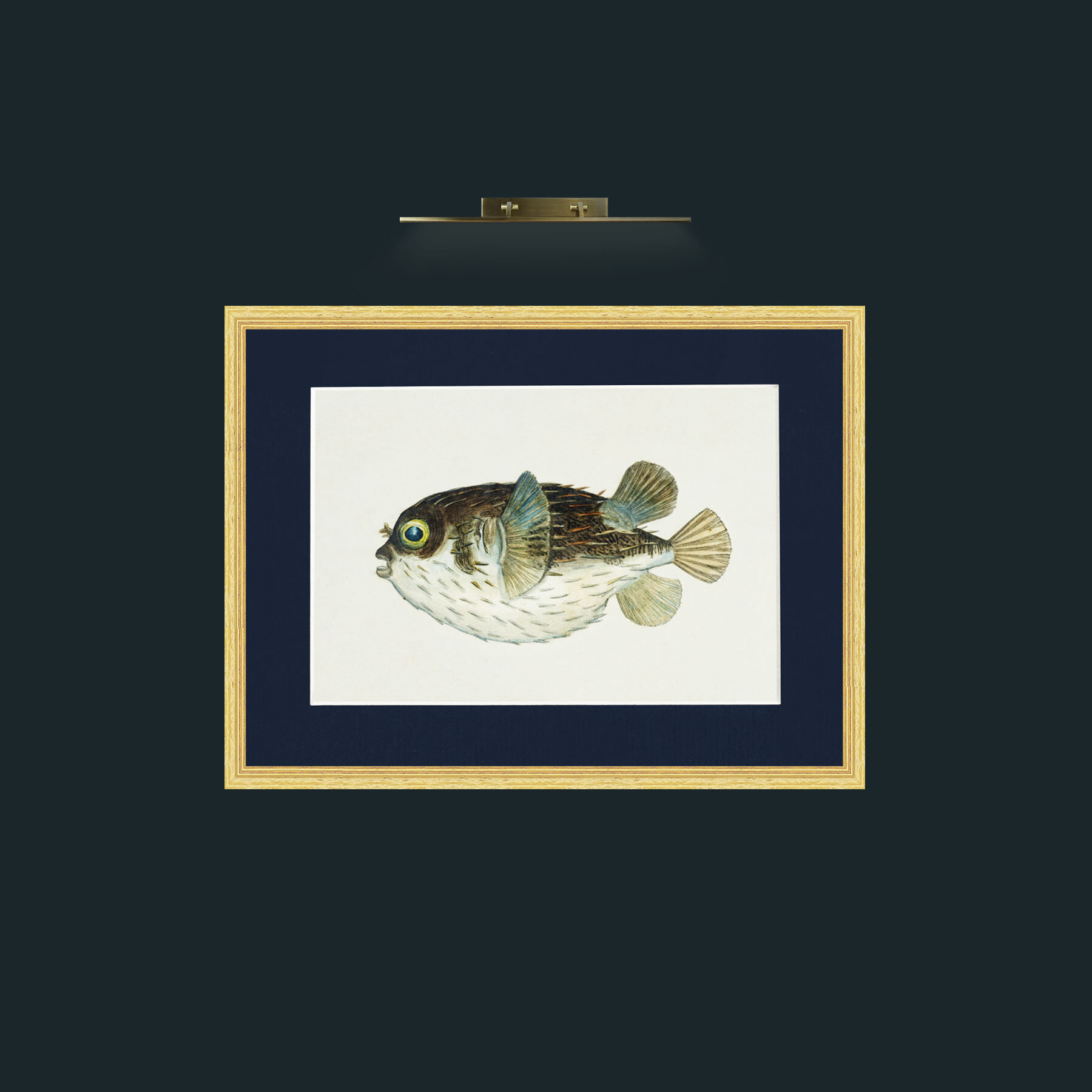 Art-Diodon-Frame-4BevelledGilt-Mount-3Blue.jpg