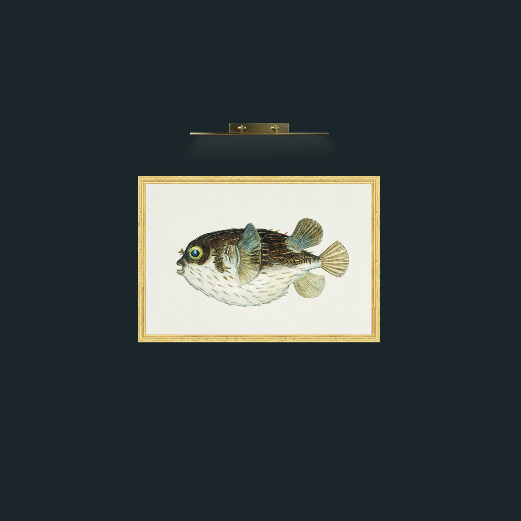 Art-Diodon-Frame-4BevelledGilt.jpg