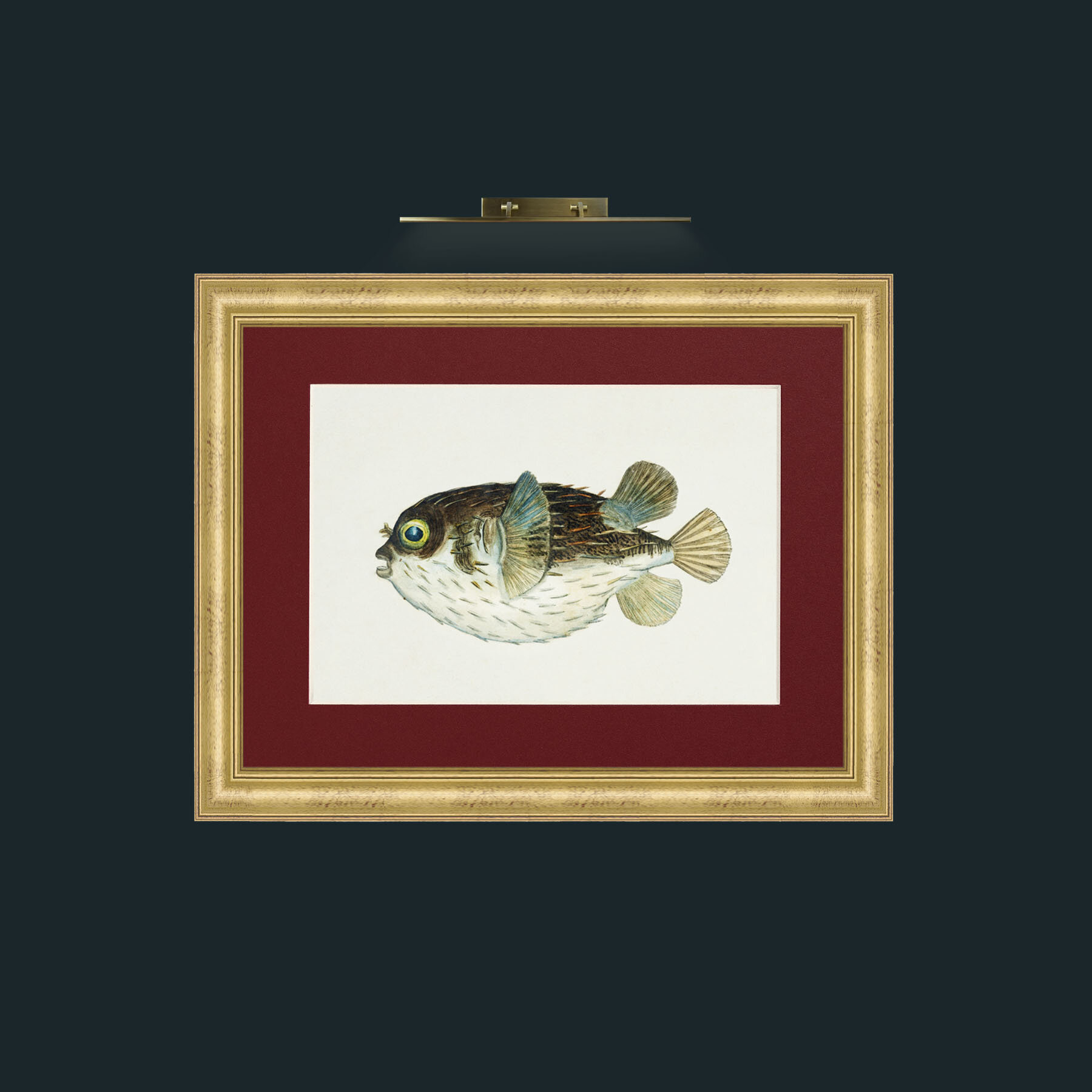 Art-Diodon-Frame-9WideGilt-Mount-4Red.jpg