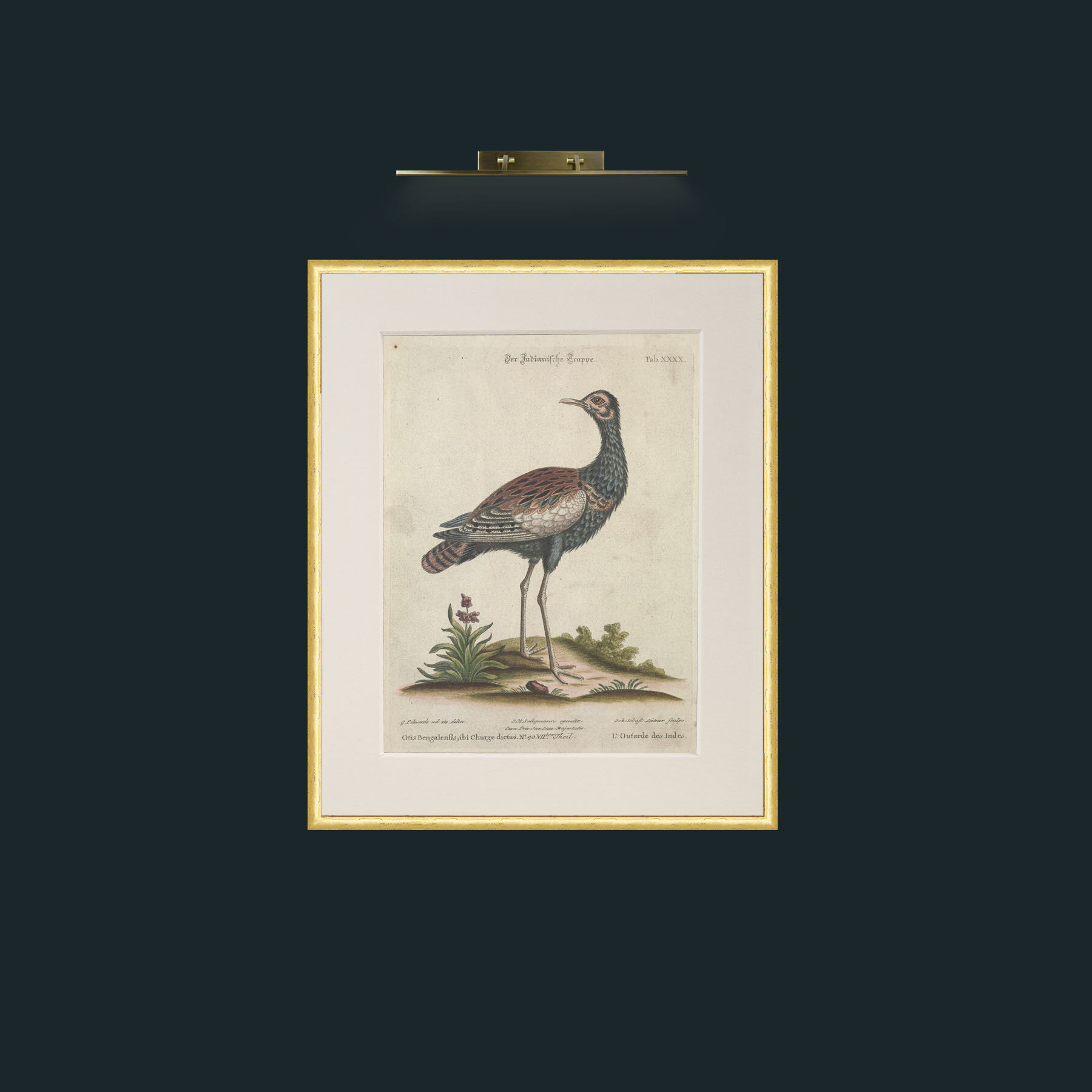 Art-Indian Bustard-Frame-3RoundedGilt-Mount-1Antique.jpg