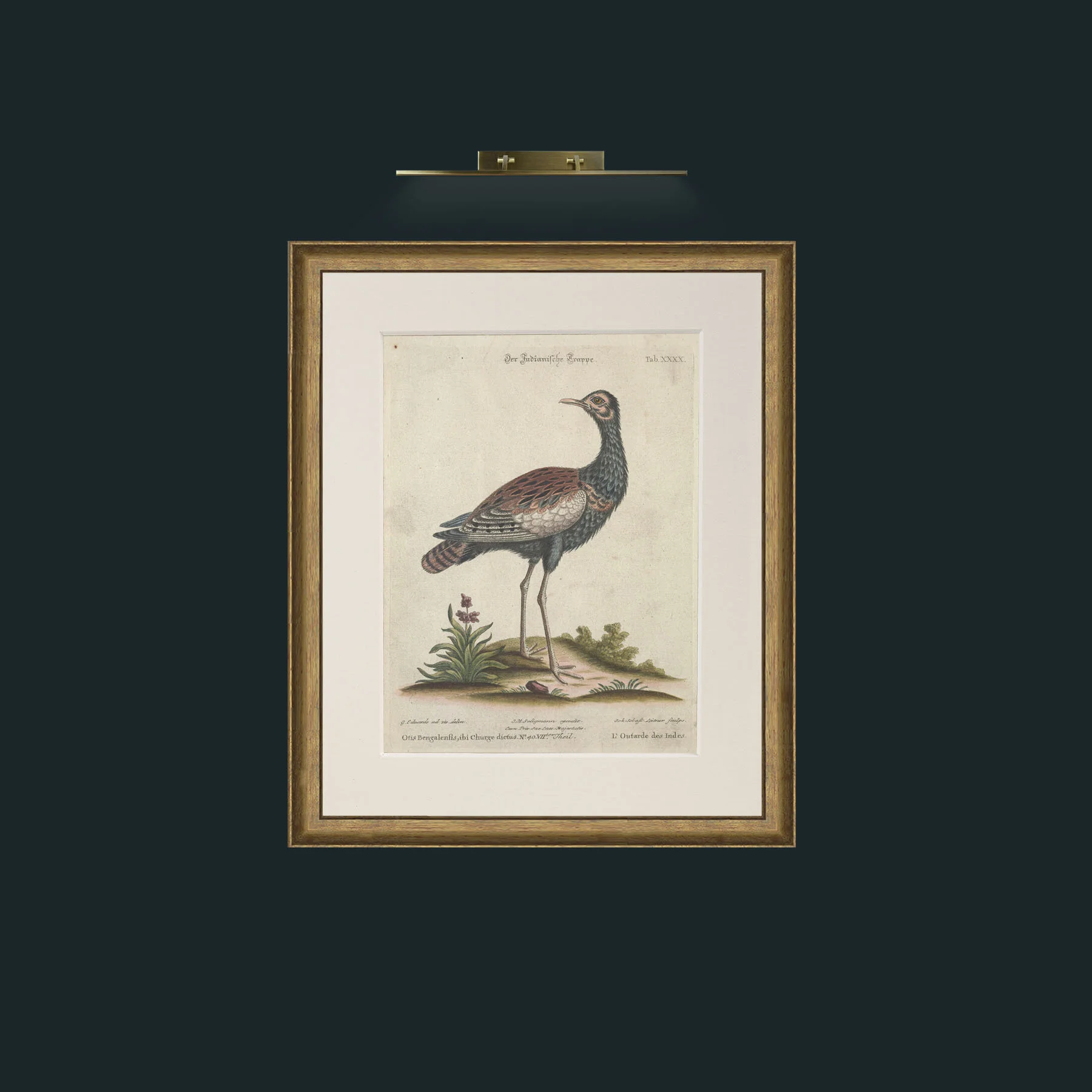 Art-Indian Bustard-Frame-8RedGreenGilt-Mount-1Antique.jpg