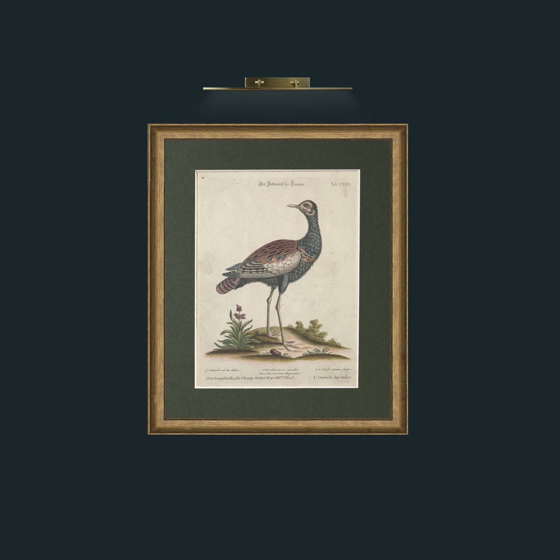 Art-Indian Bustard-Frame-8RedGreenGilt-Mount-2Green.jpg