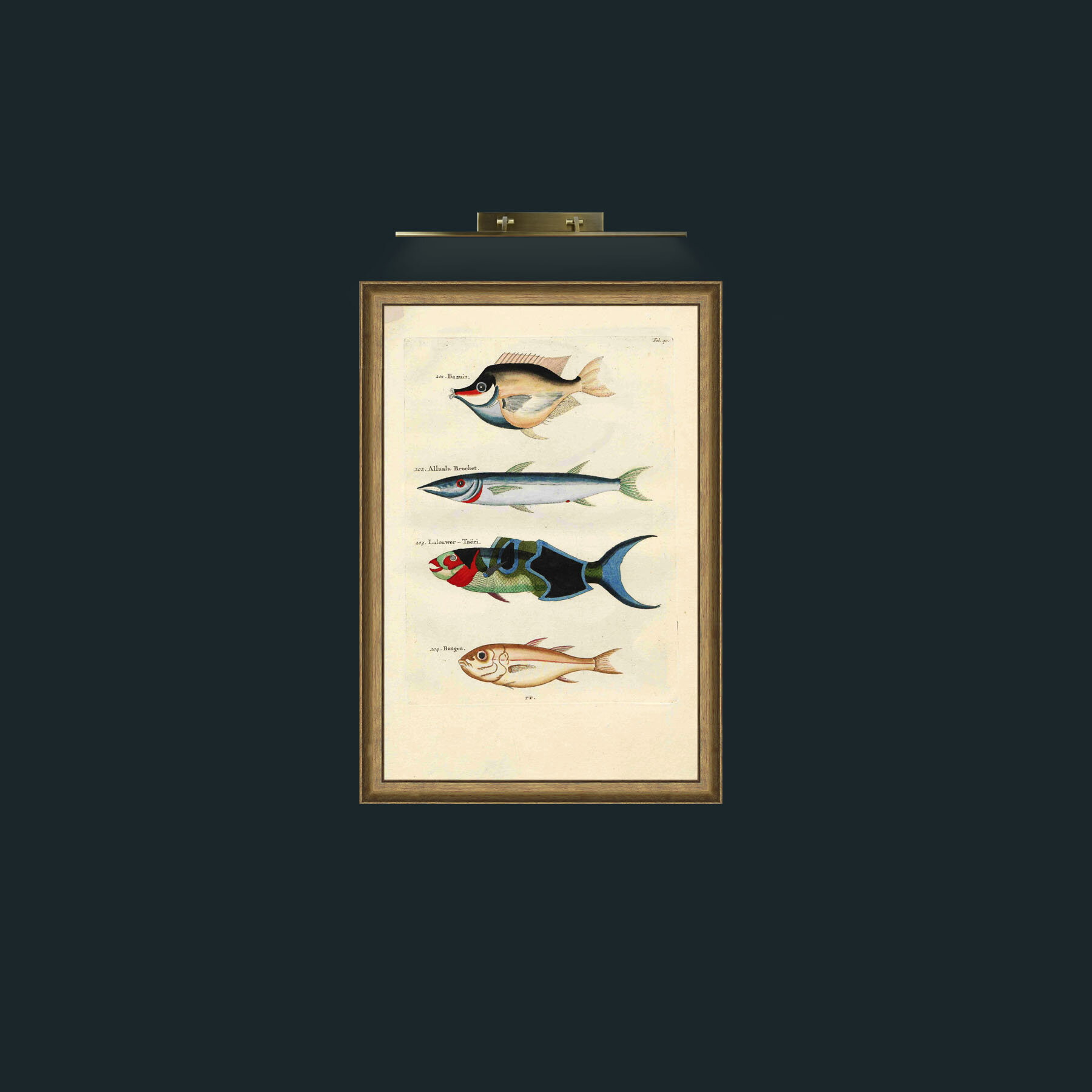 Art-Four Fish-Frame-8RedGreenGilt.jpg