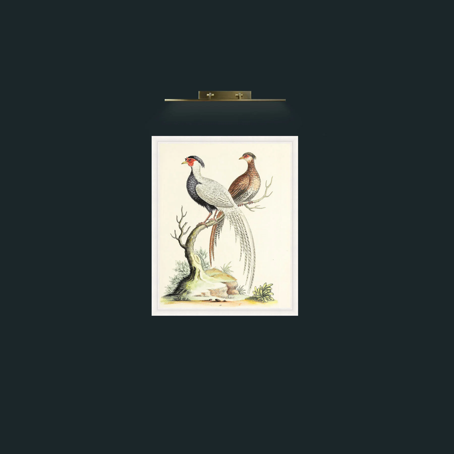 Art-Pheasent PairFrame-5White-Art-Pheasent Pair.jpg